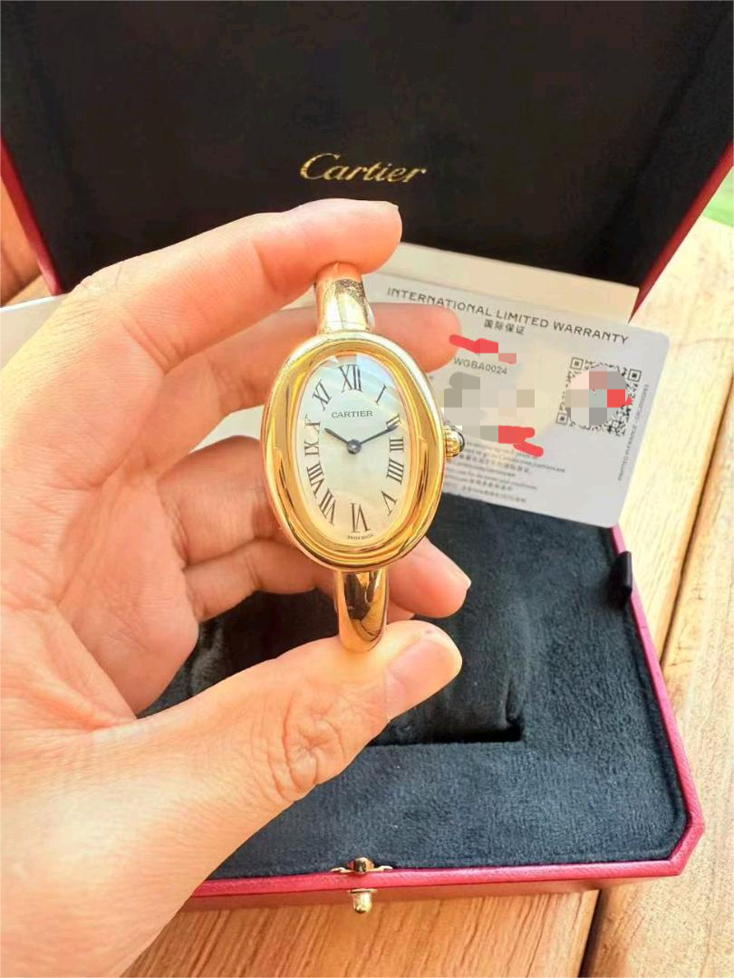 Cartier WGBA0024