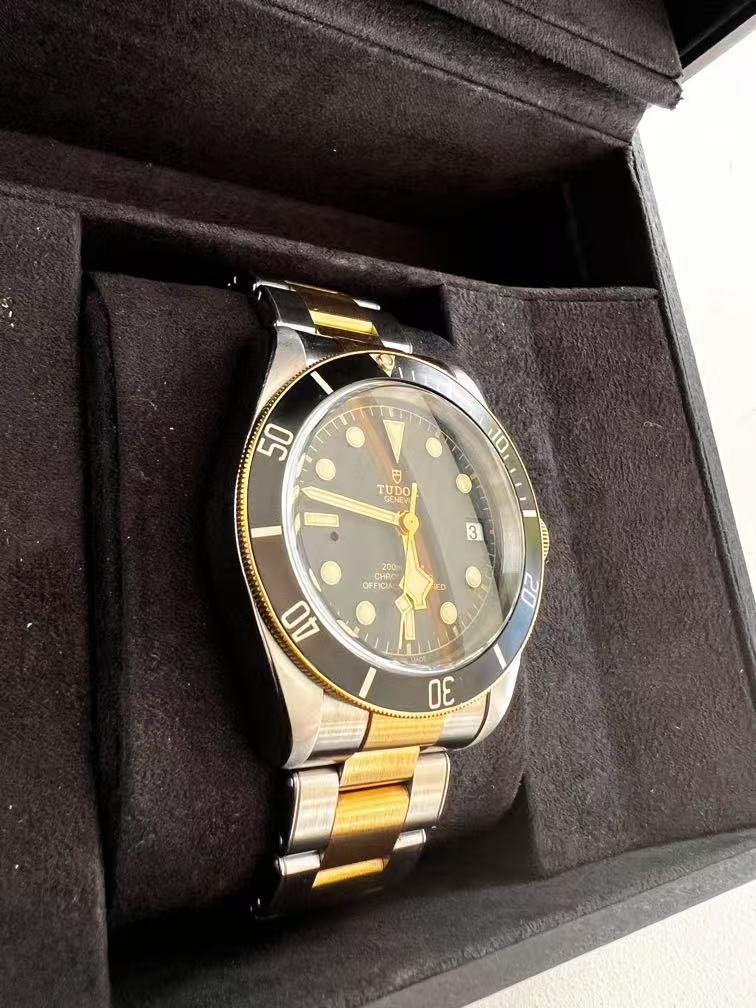Tudor m79733n-0008 detail 1