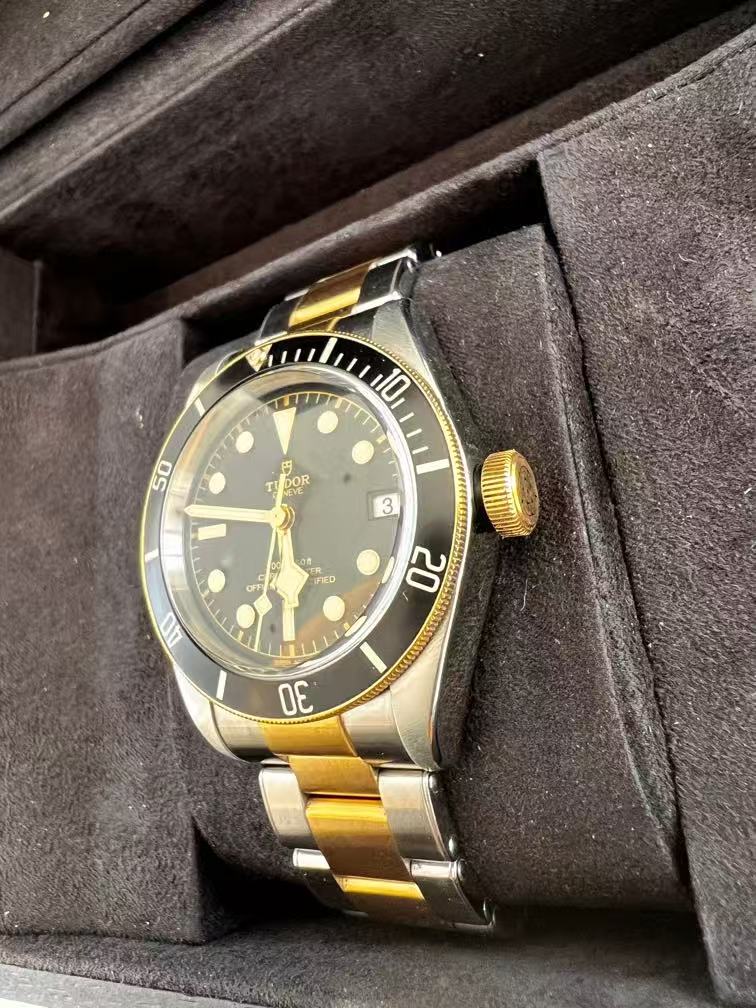Tudor m79733n-0008 detail 2