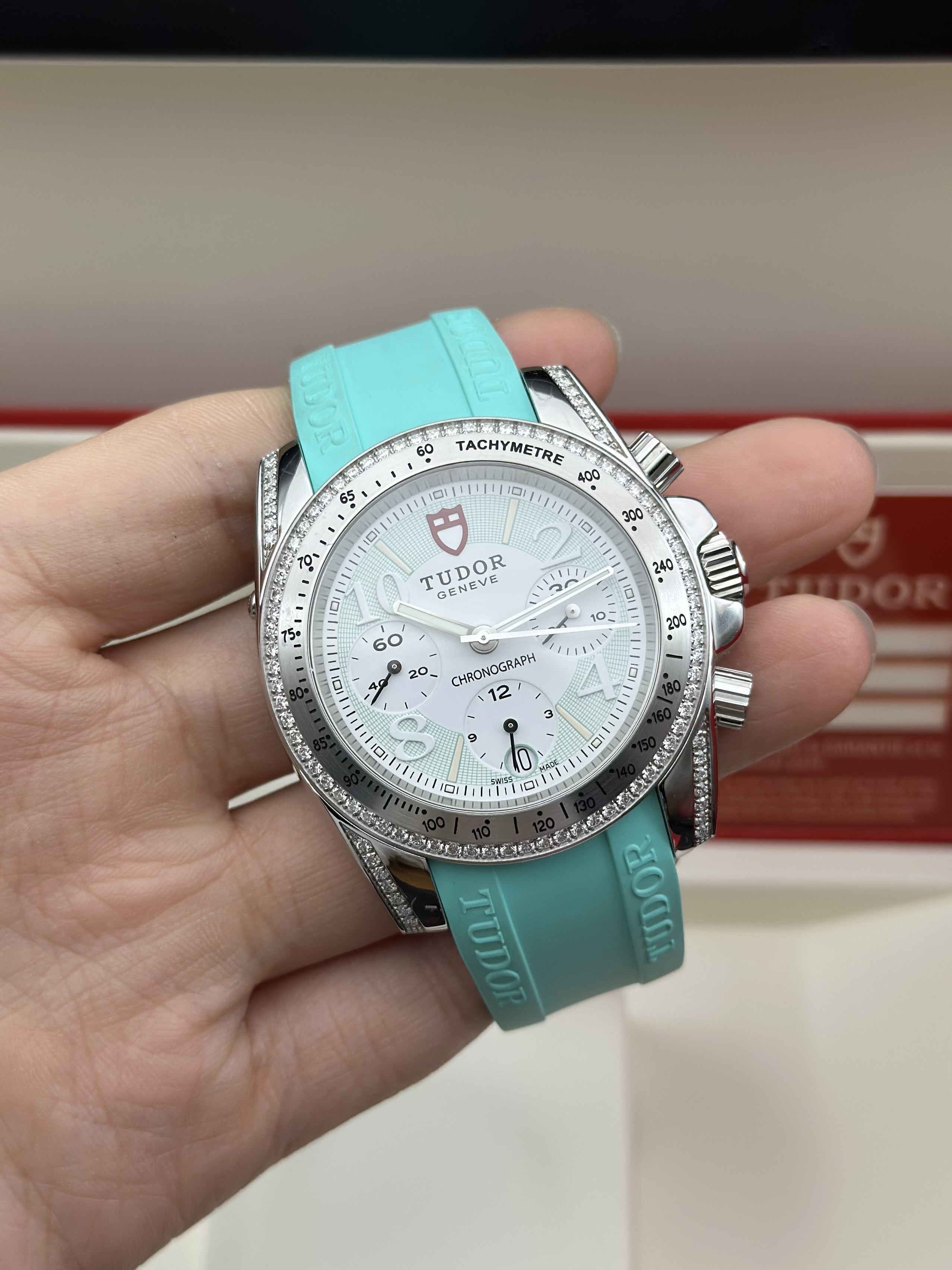 Tudor 20310