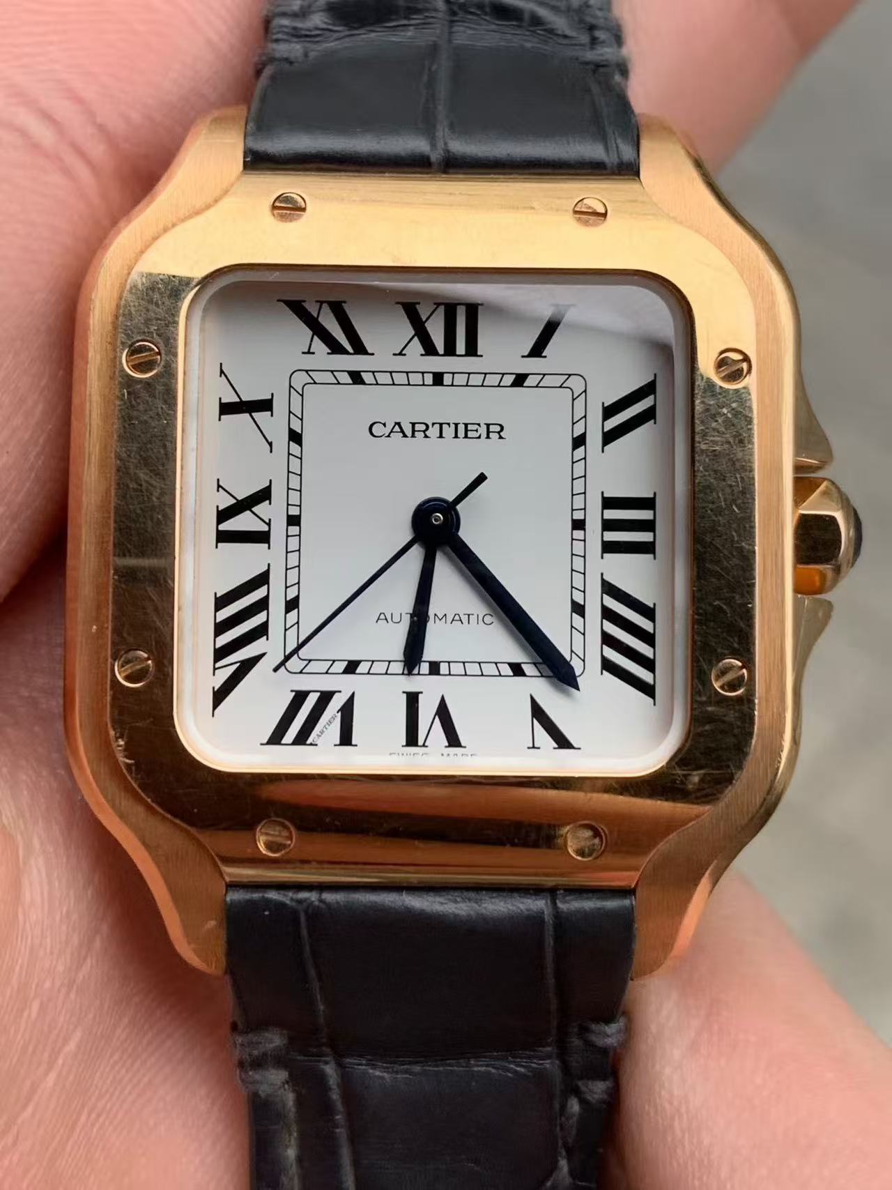 Cartier WGSA0028