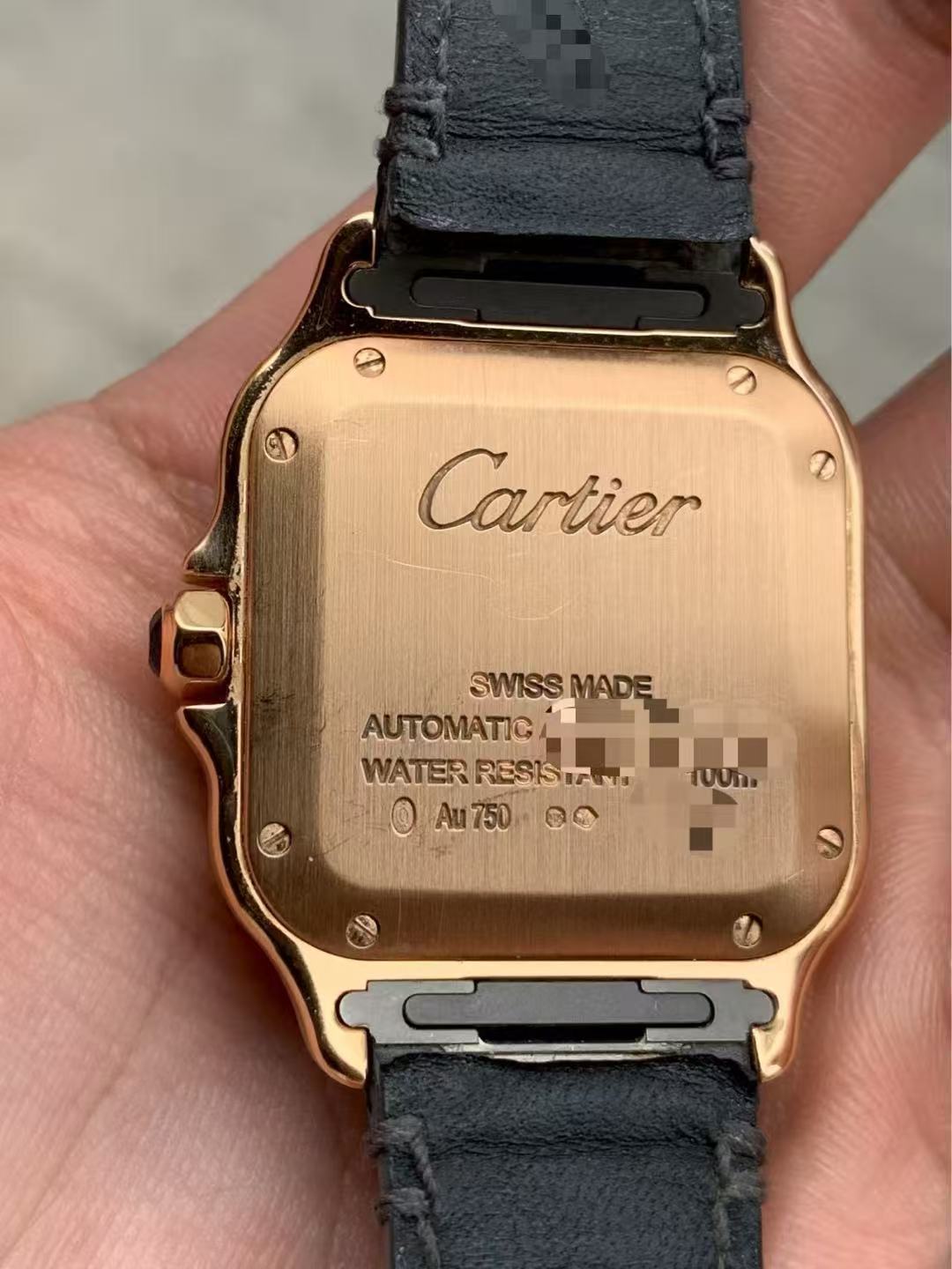 Cartier WGSA0028 detail 3