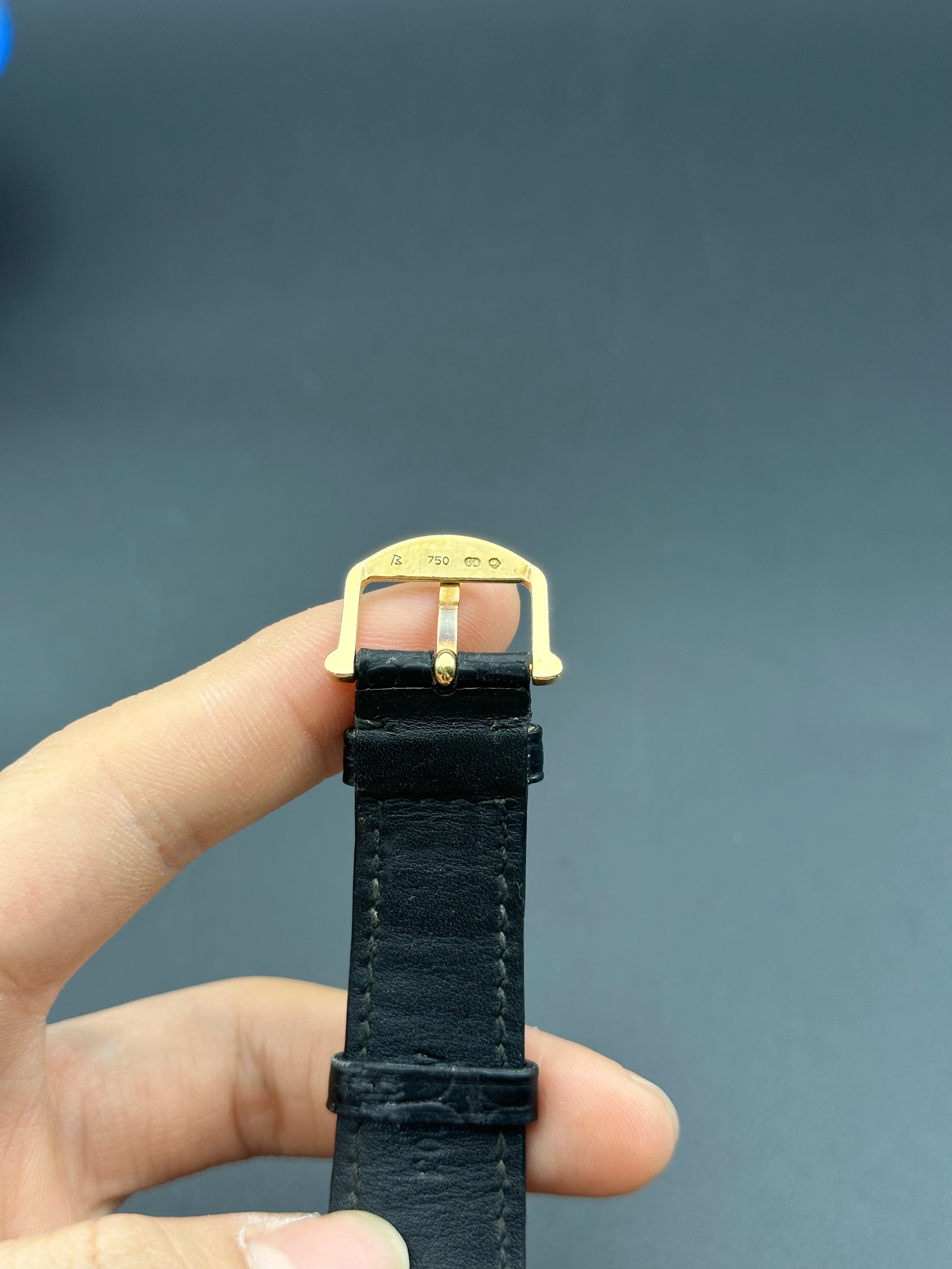 IWC IW356302 detail 3