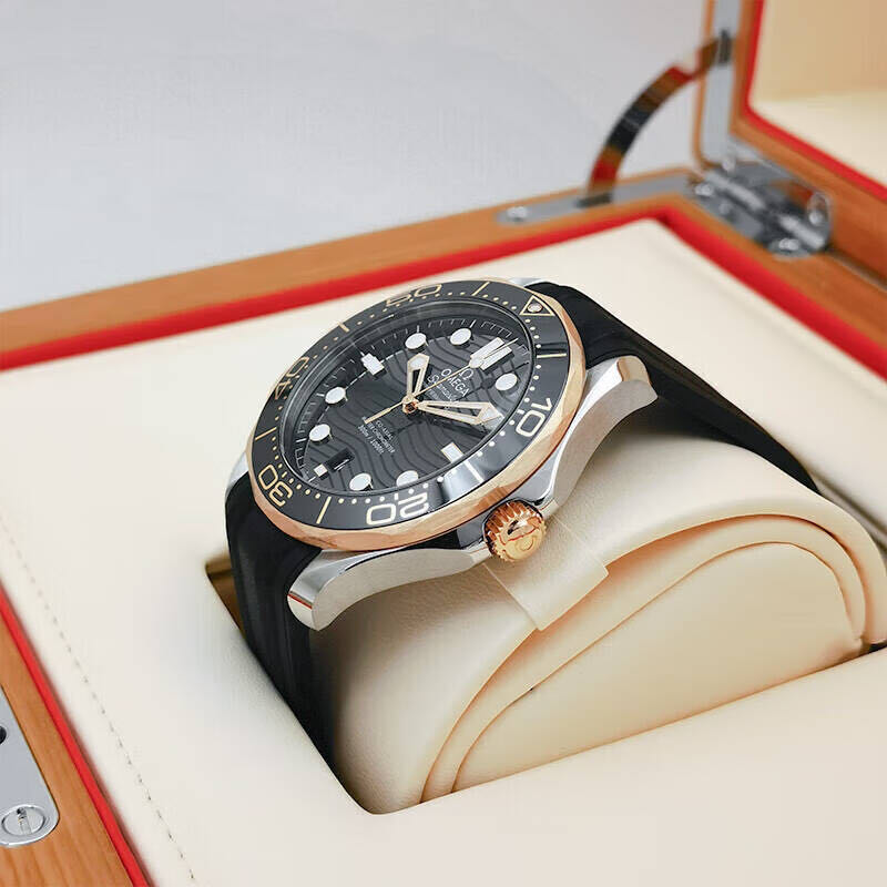 Omega 210.22.42.20.01.002 detail 2