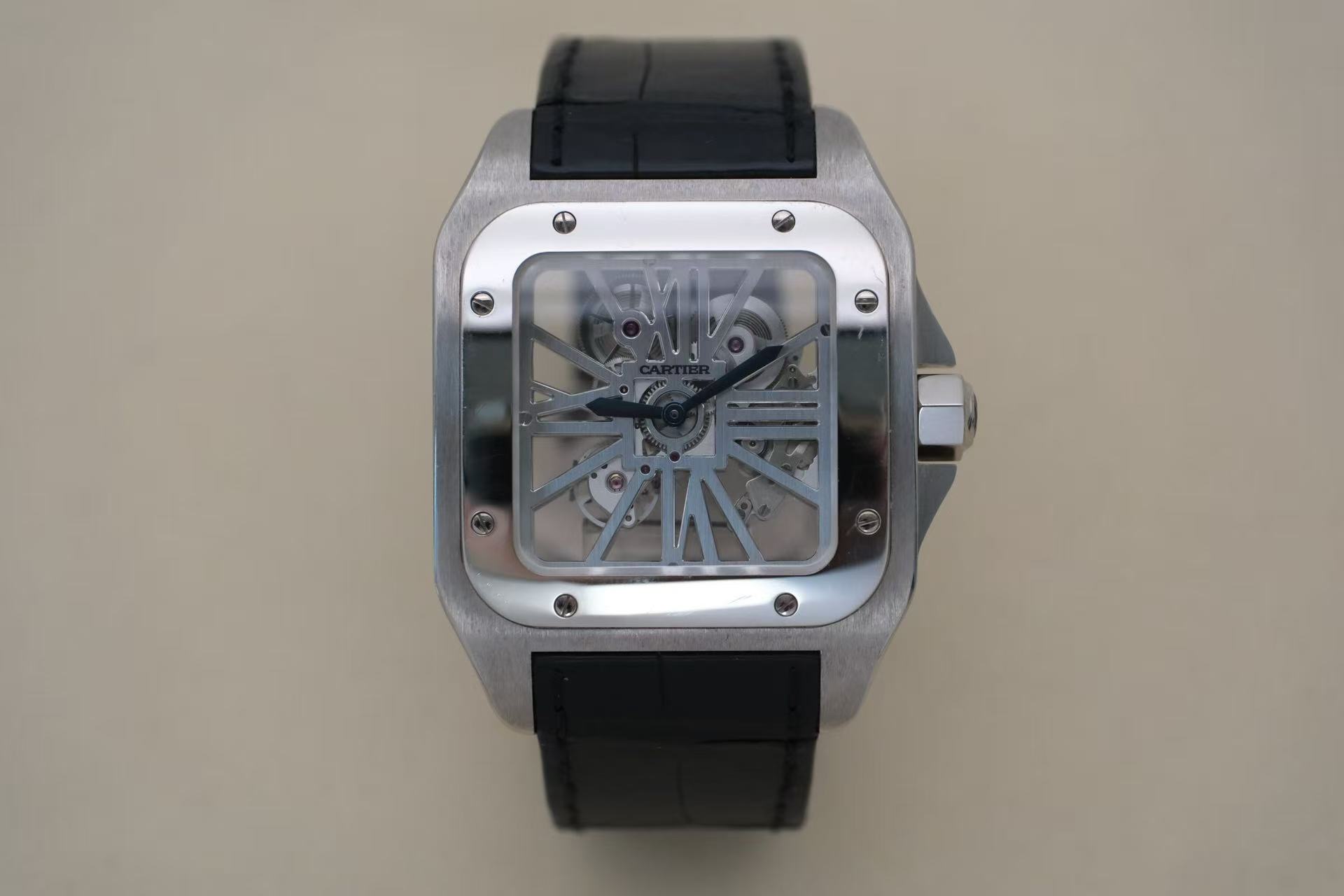 Cartier W2020018