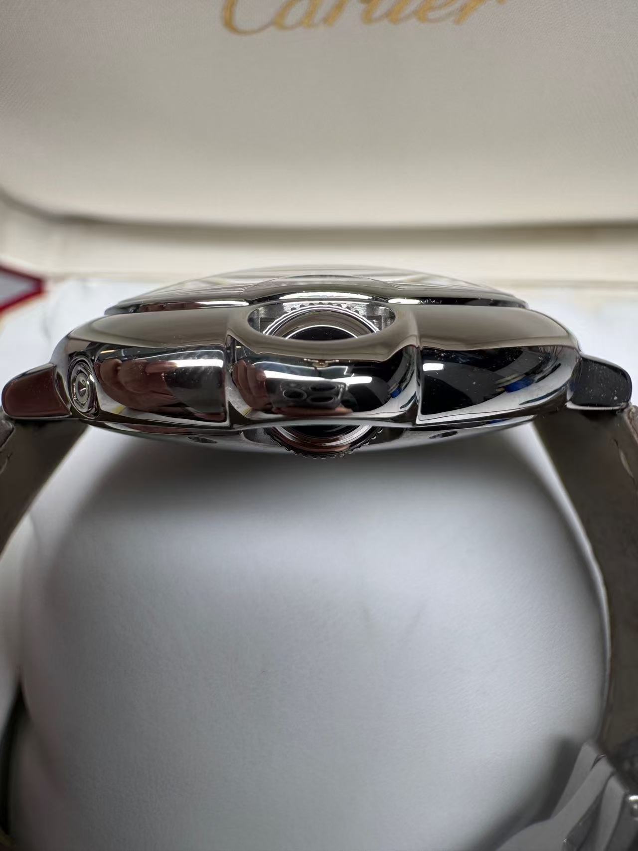 Cartier WSBB0020 detail 3