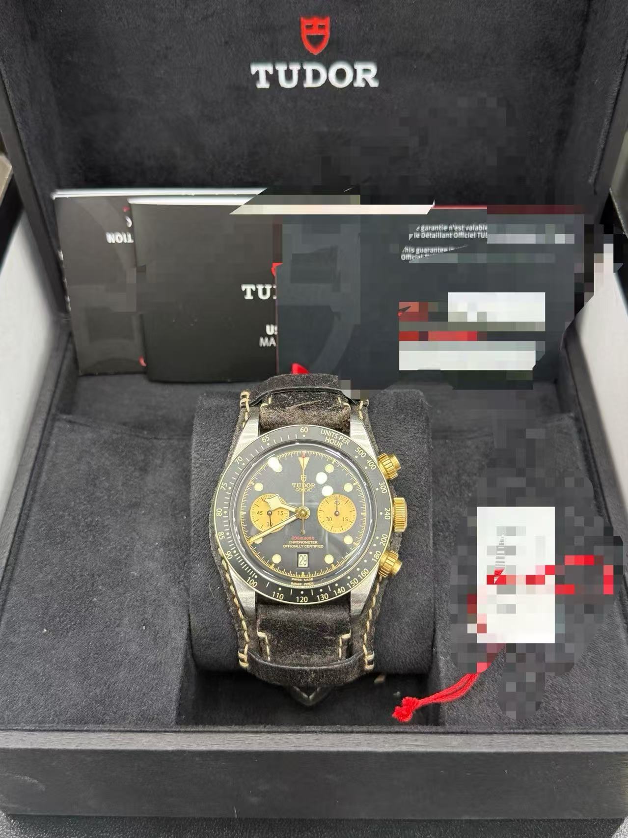 Tudor m79363n-0002 detail 5
