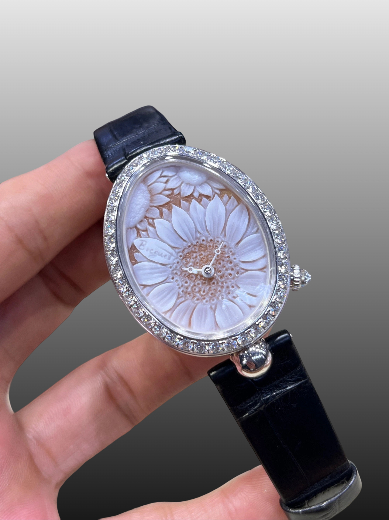 Breguet 8958BB / 51 / 974 detail 1