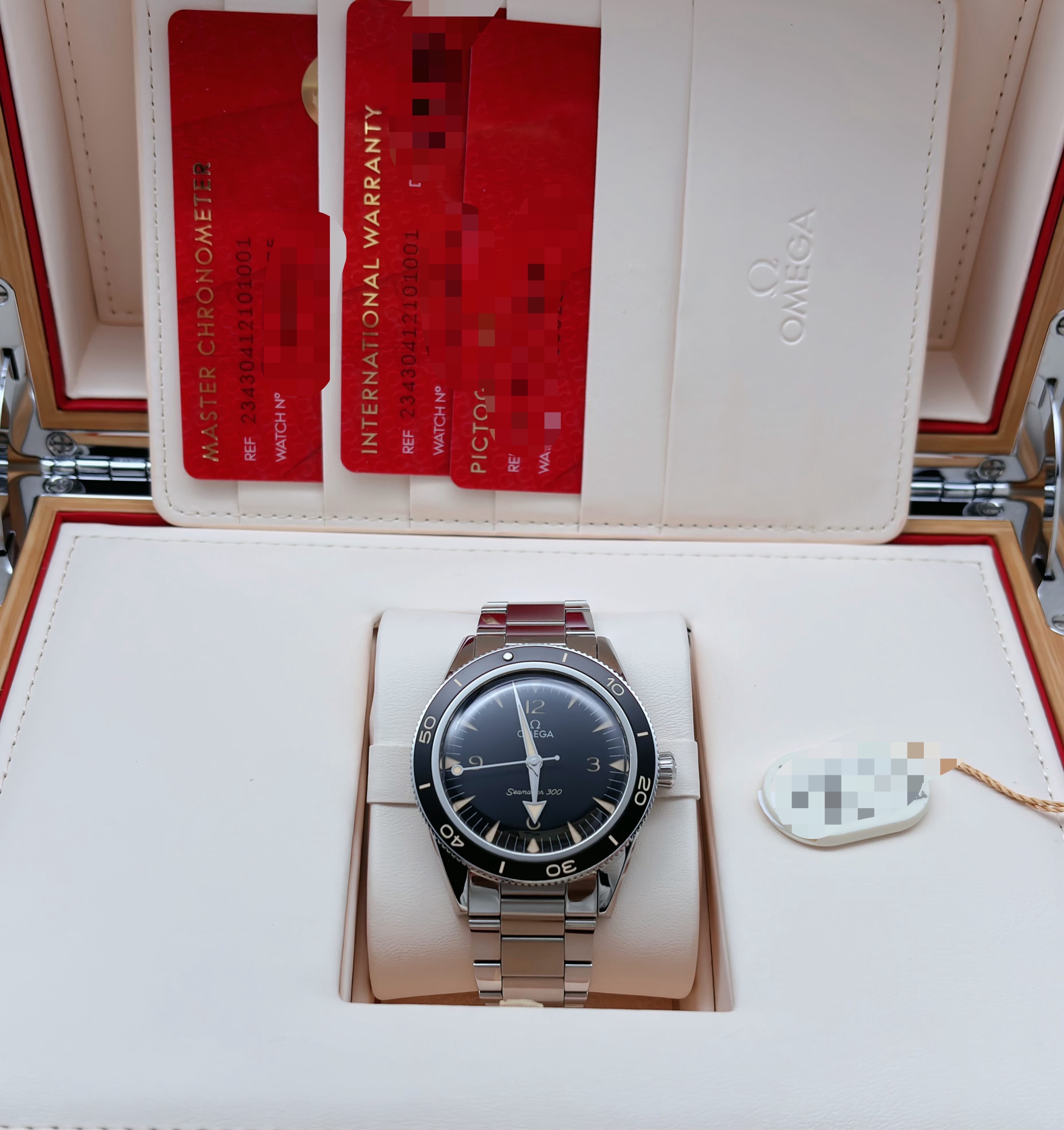 Omega 234.30.41.21.01.001 detail 7