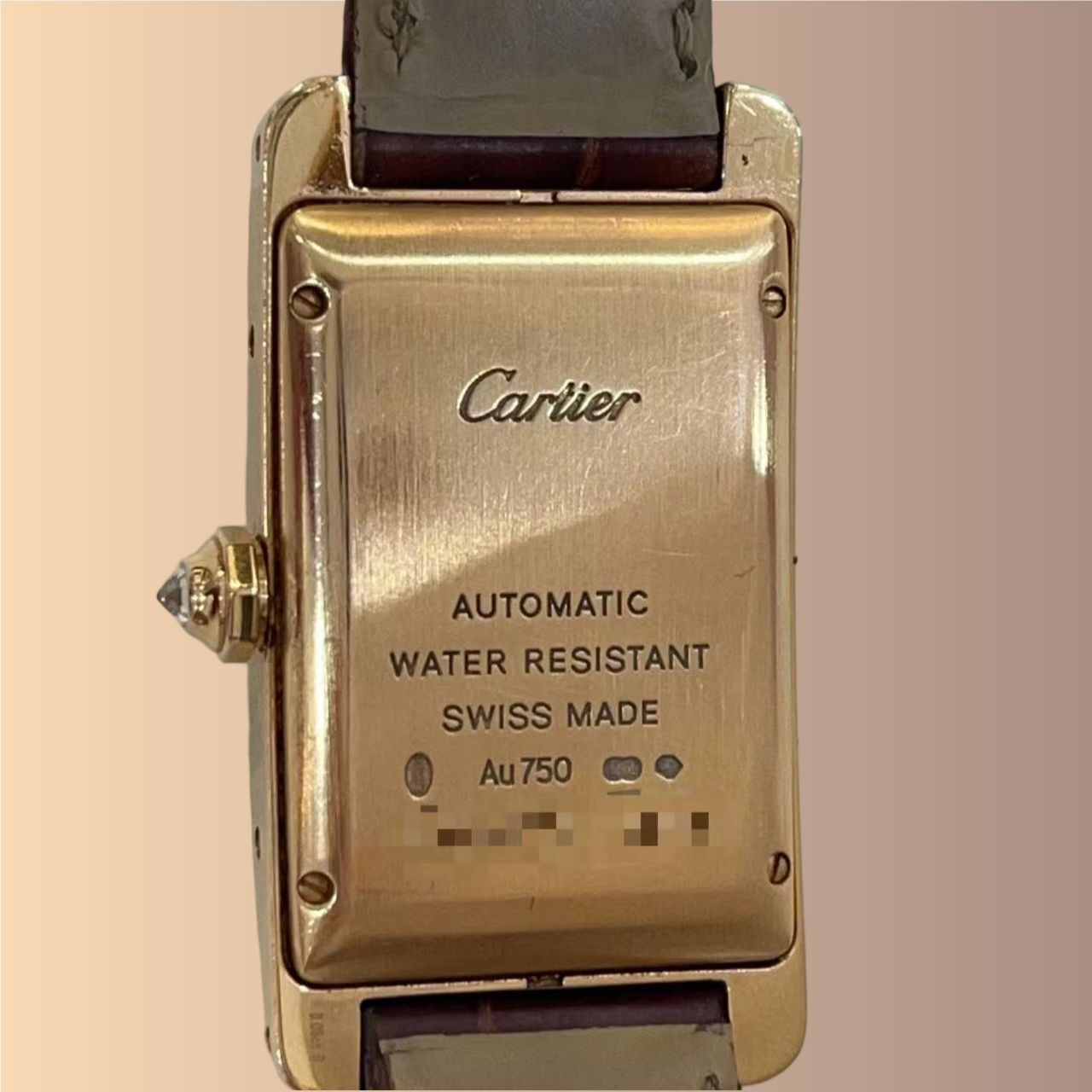 Cartier WB704751 detail 3