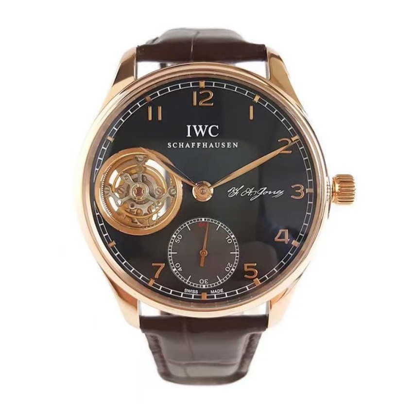 IWC IW544705