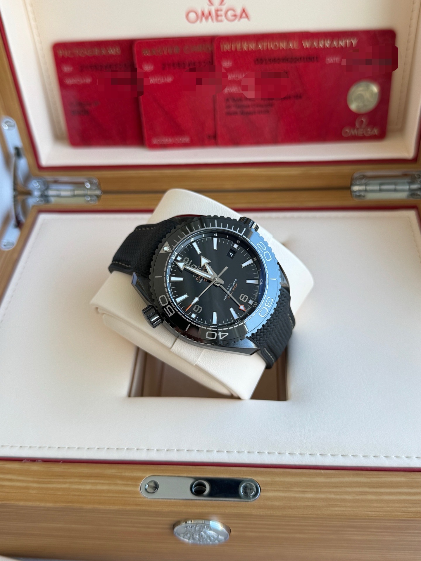 Omega 215.92.46.22.01.001 detail 2