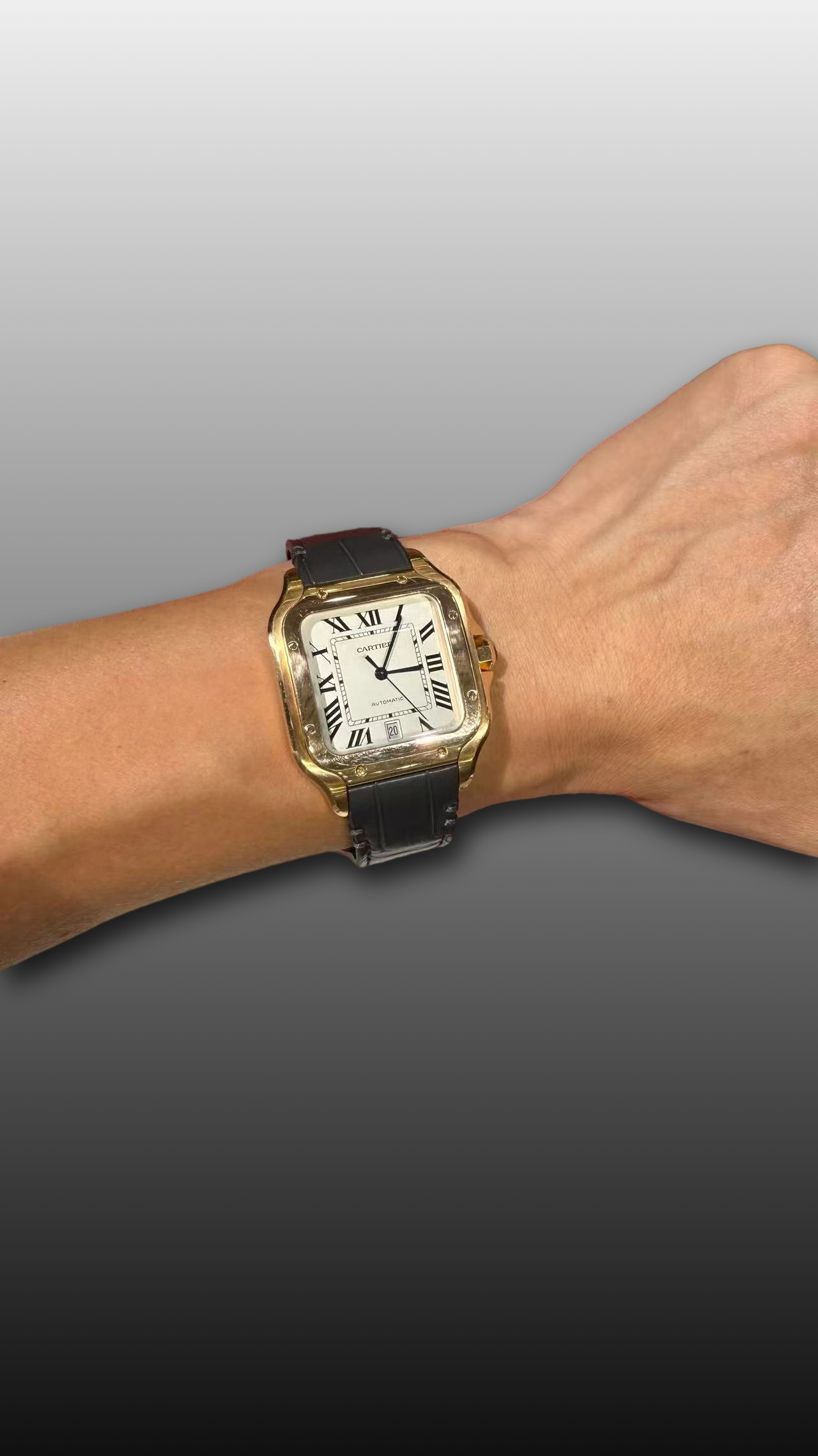 Cartier WGSA0018 detail 1