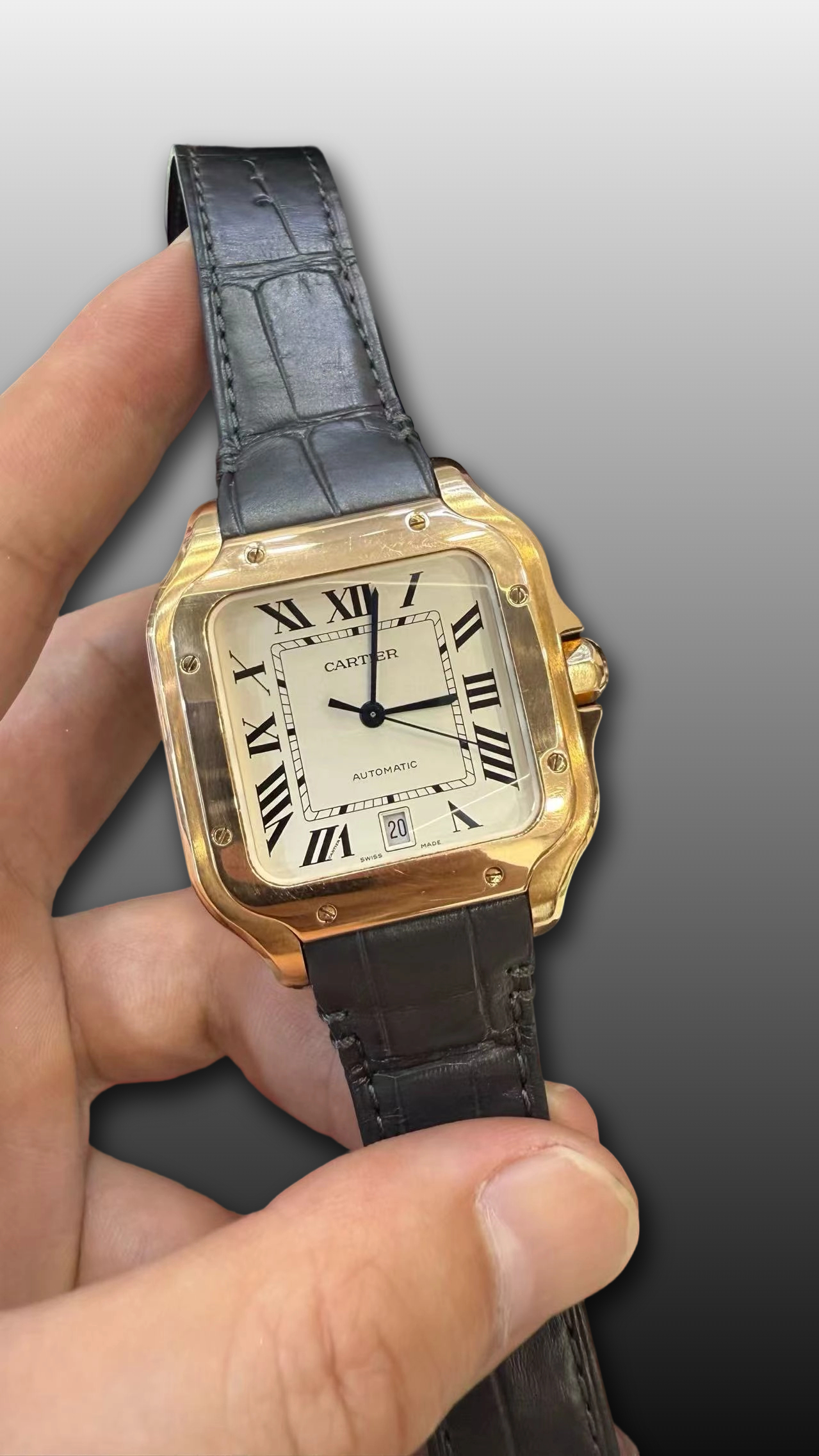 Cartier WGSA0018