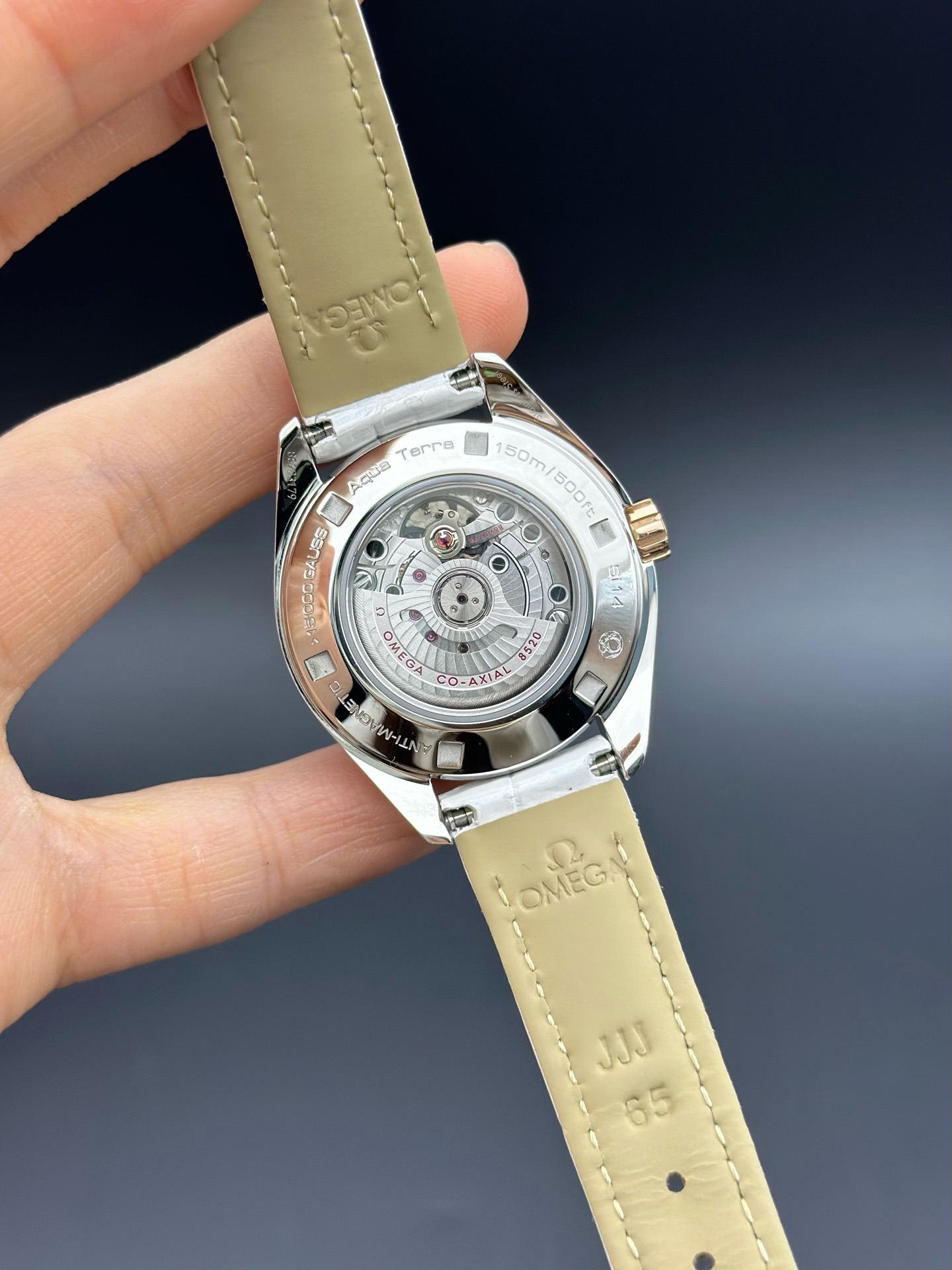 Omega 231.23.34.20.55.001 detail 6