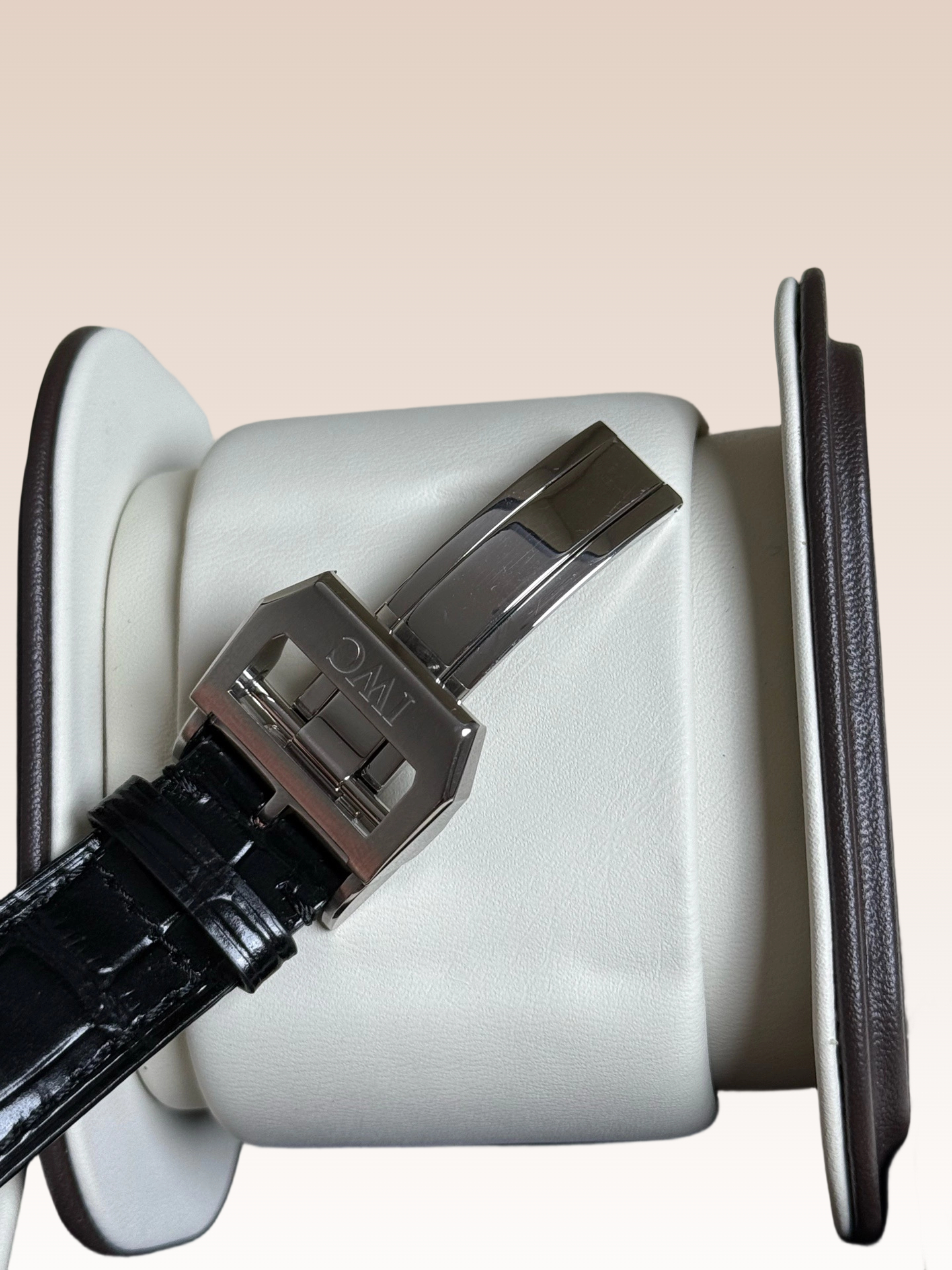 IWC 371491 detail 8