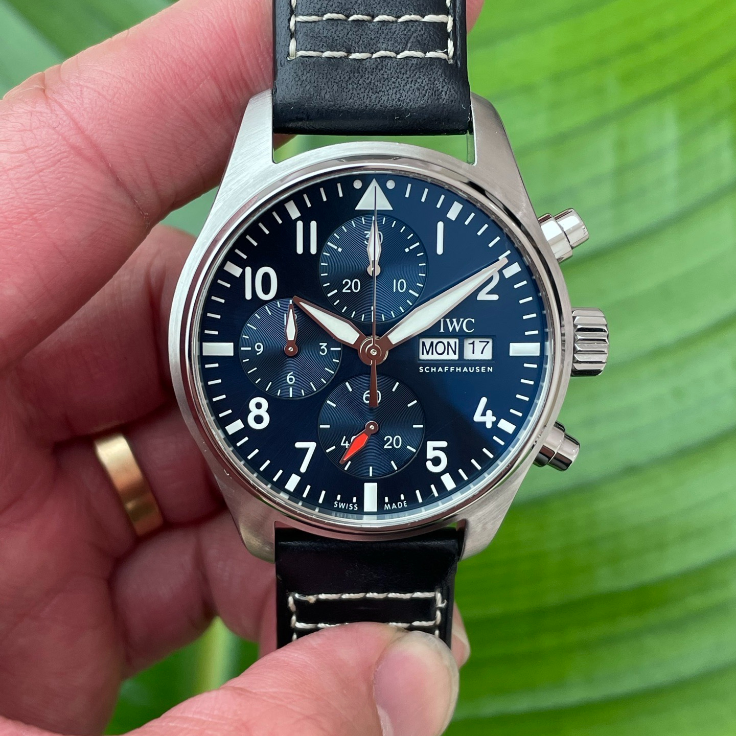 IWC 388101