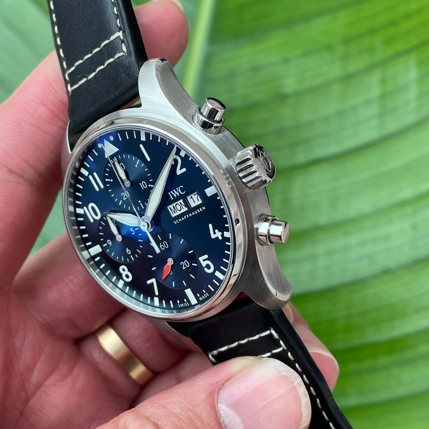 IWC 388101 detail 1