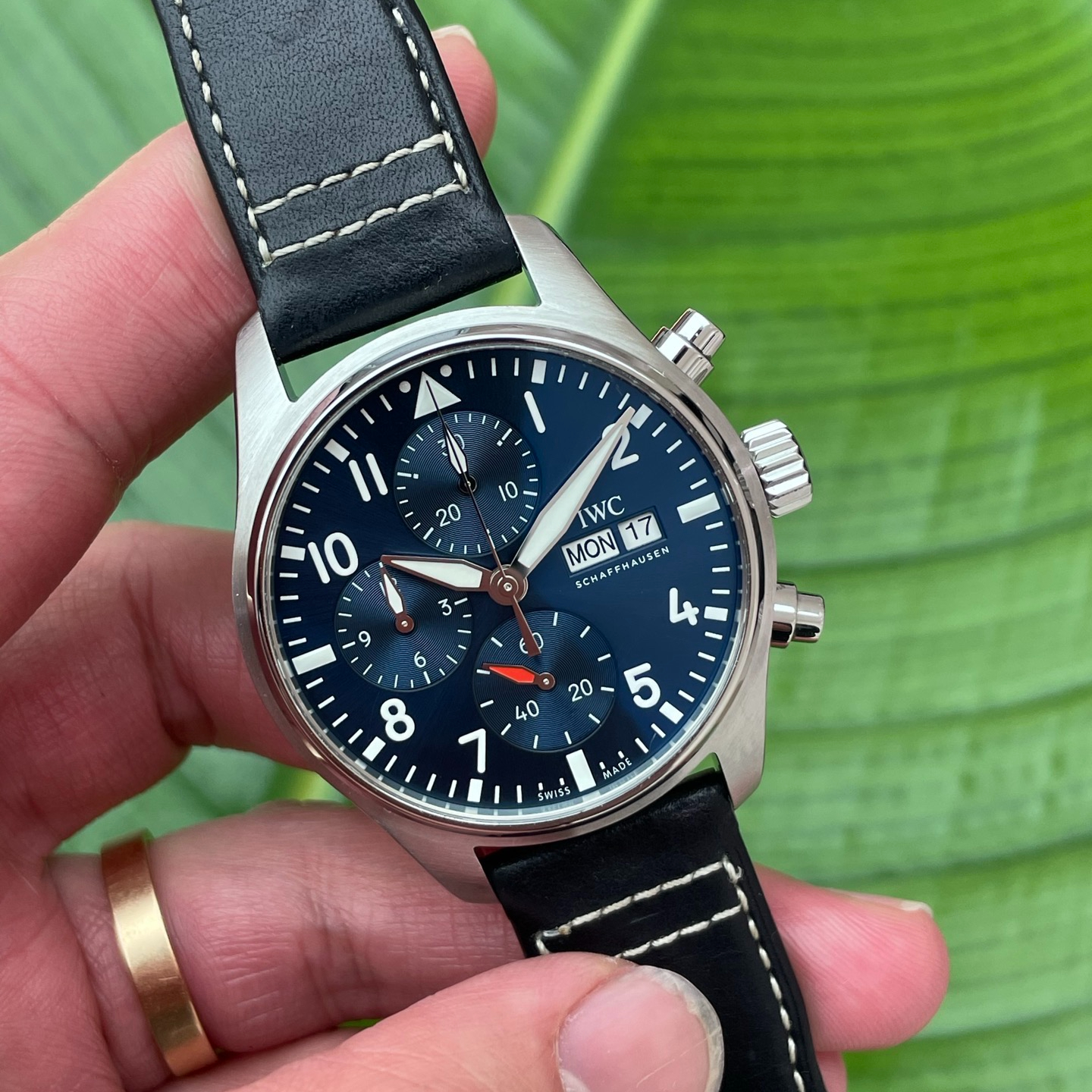 IWC 388101 detail 3