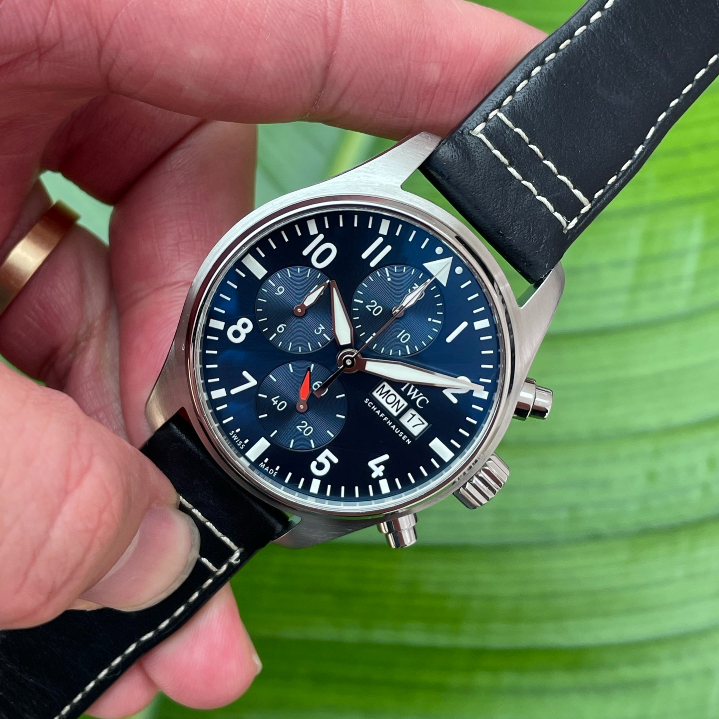 IWC 388101 detail 4