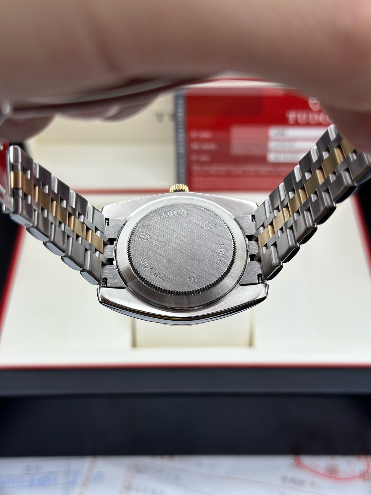Tudor M21013-0002 detail 6