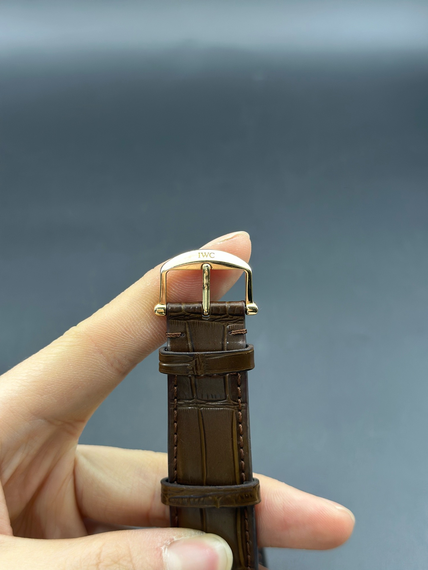 IWC IW356504 detail 5
