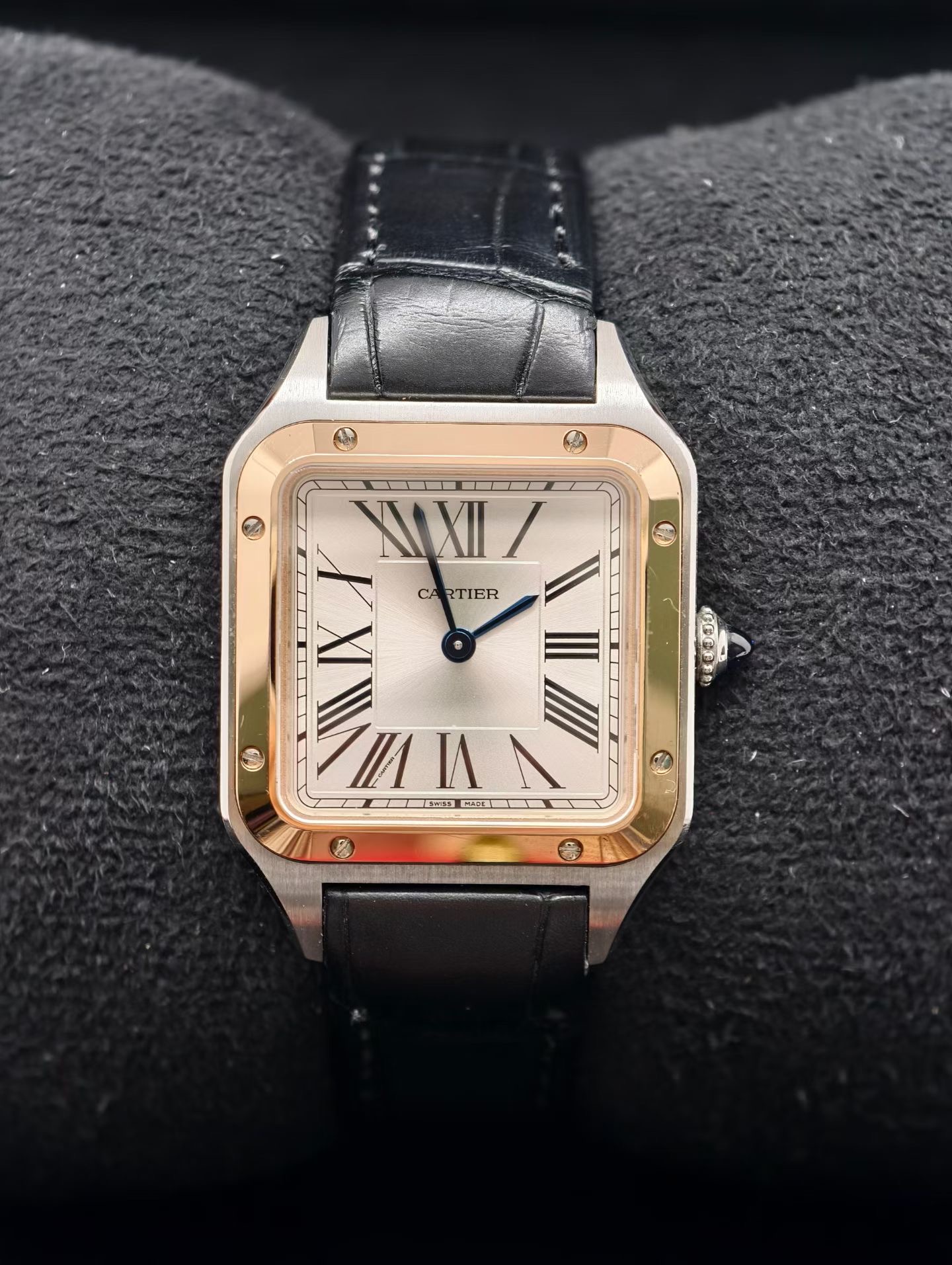 Cartier W2SA0012