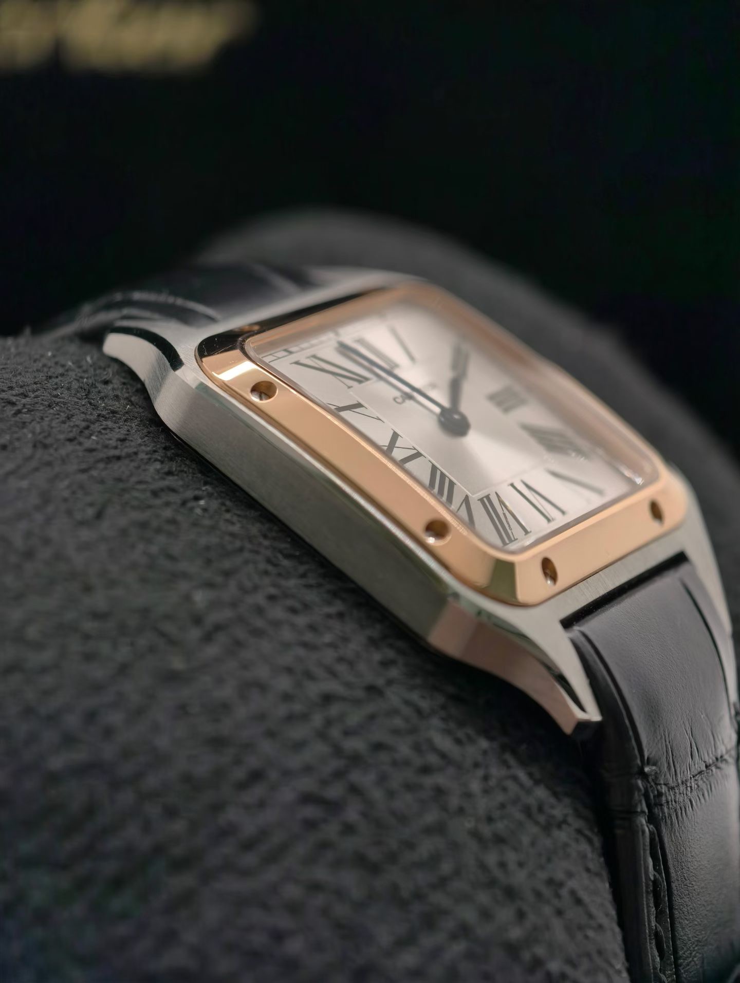 Cartier W2SA0012 detail 4