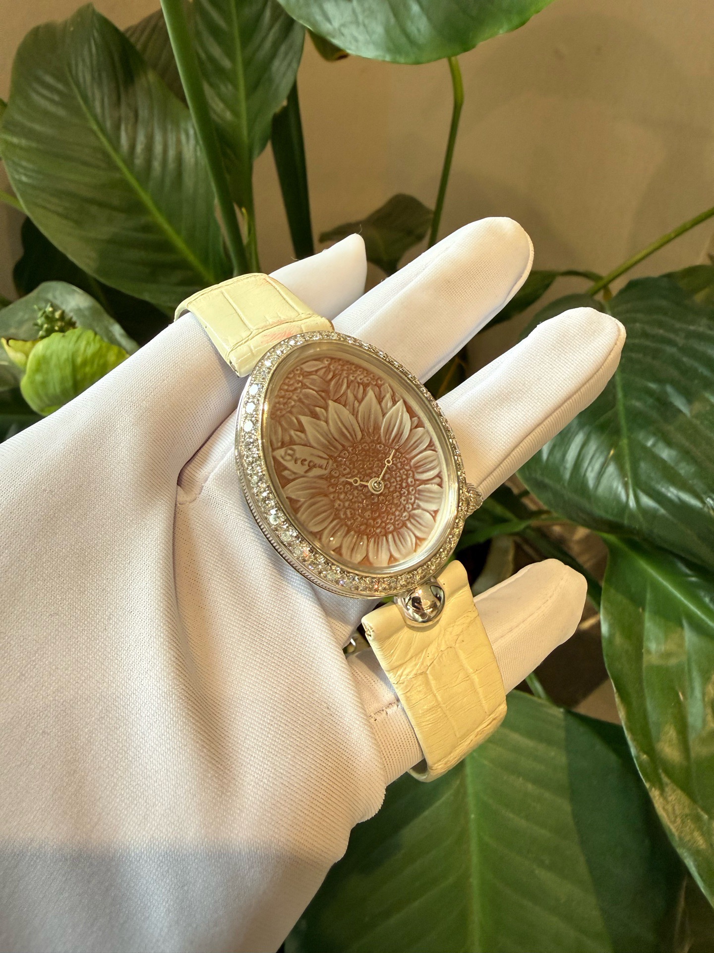 Breguet 8958BB / 51 / 974 / D00D3L detail 6