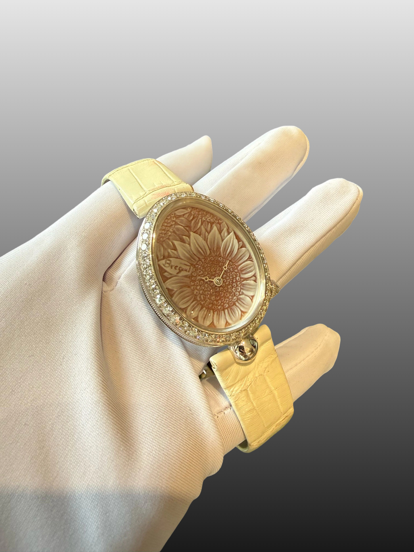Breguet 8958BB / 51 / 974 / D00D3L detail 2