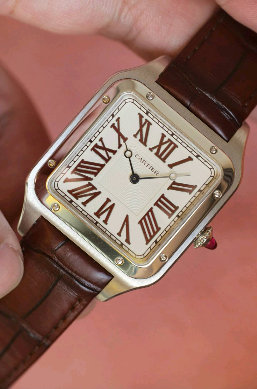 Cartier WGSA0082