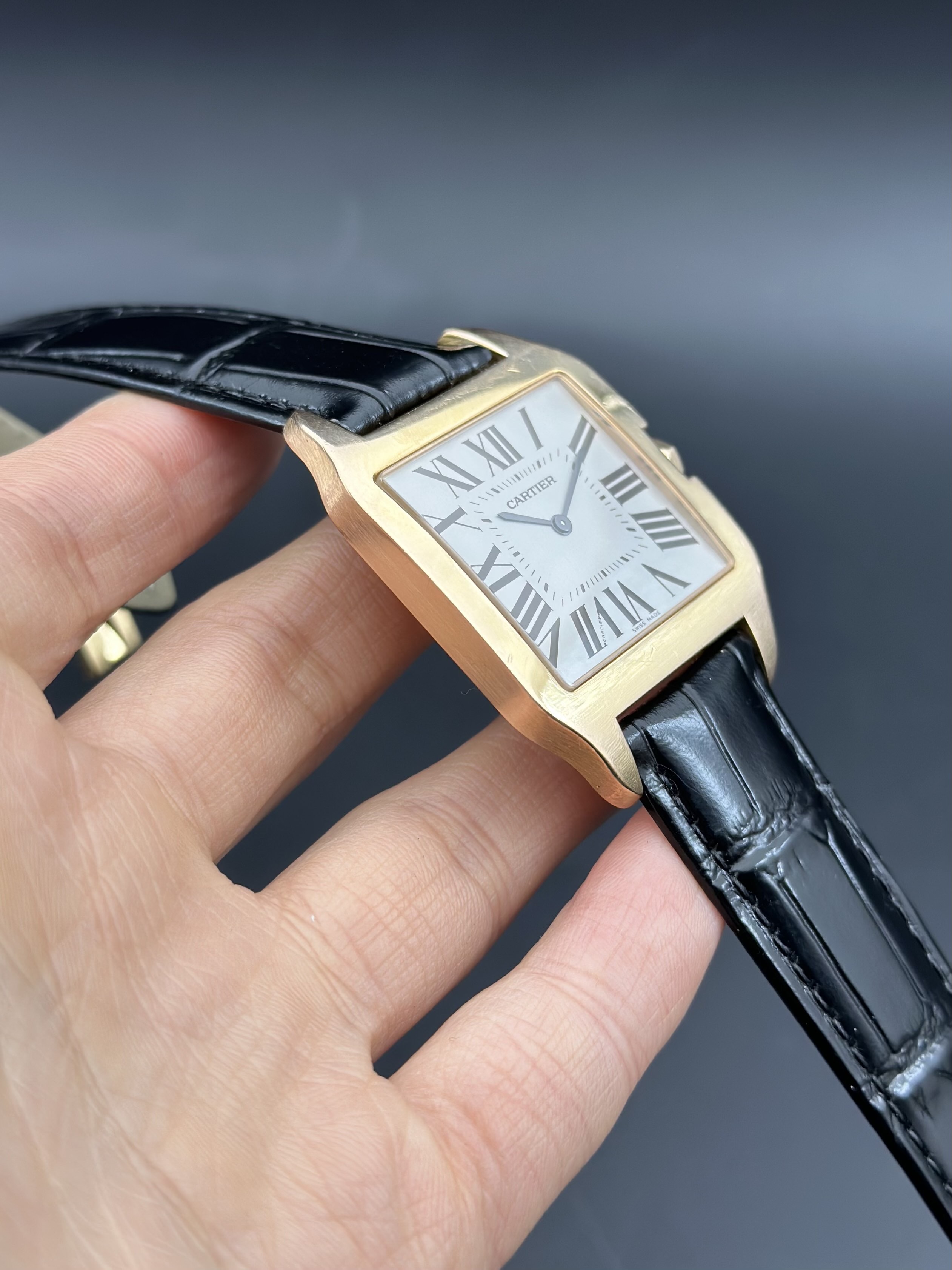 Cartier W2006951 detail 3