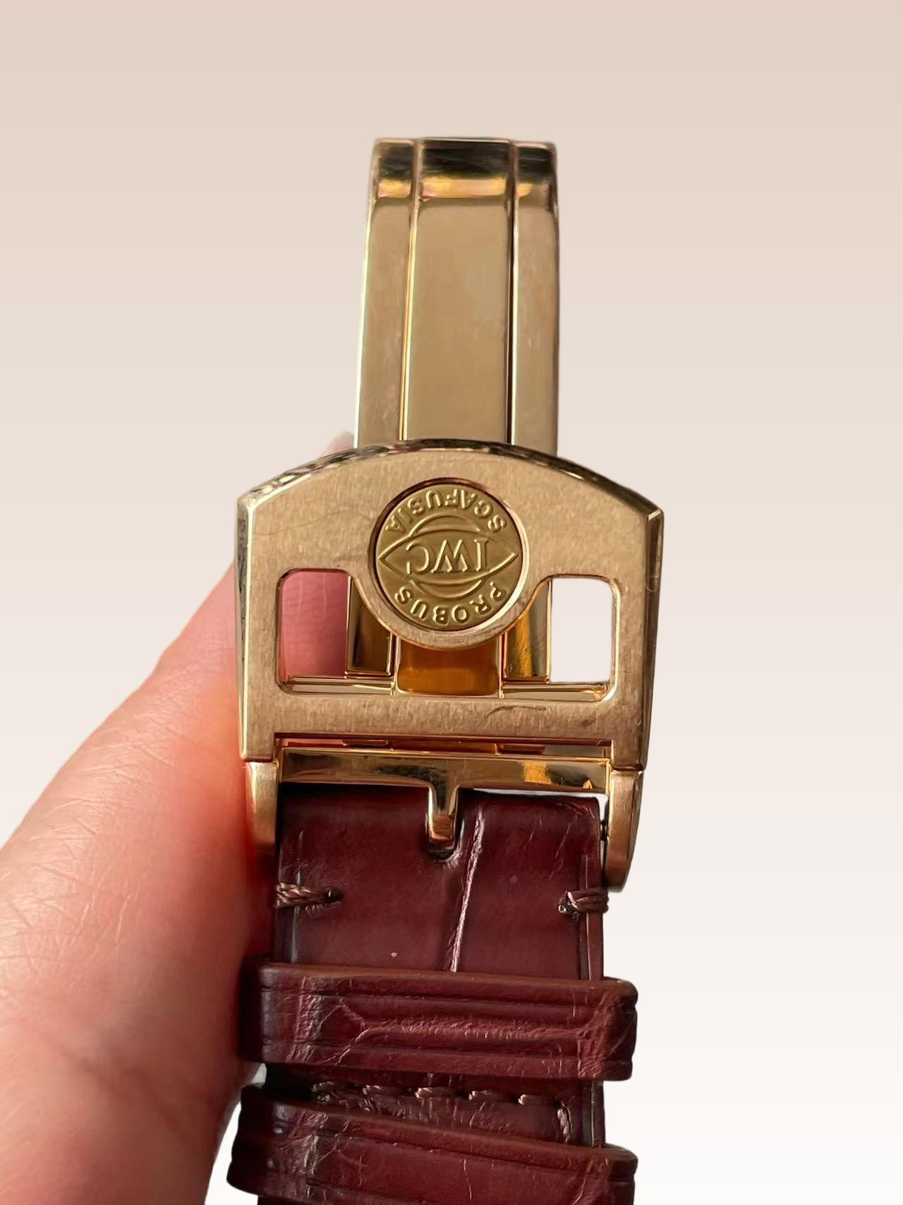 IWC IW504402 detail 2