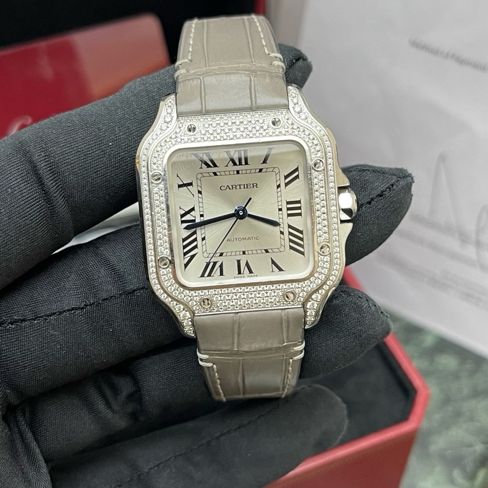 Cartier WJSA0014