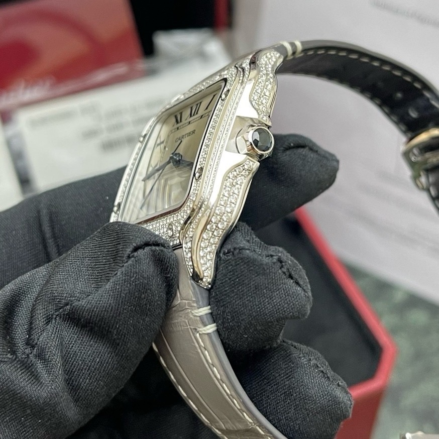 Cartier WJSA0014 detail 1