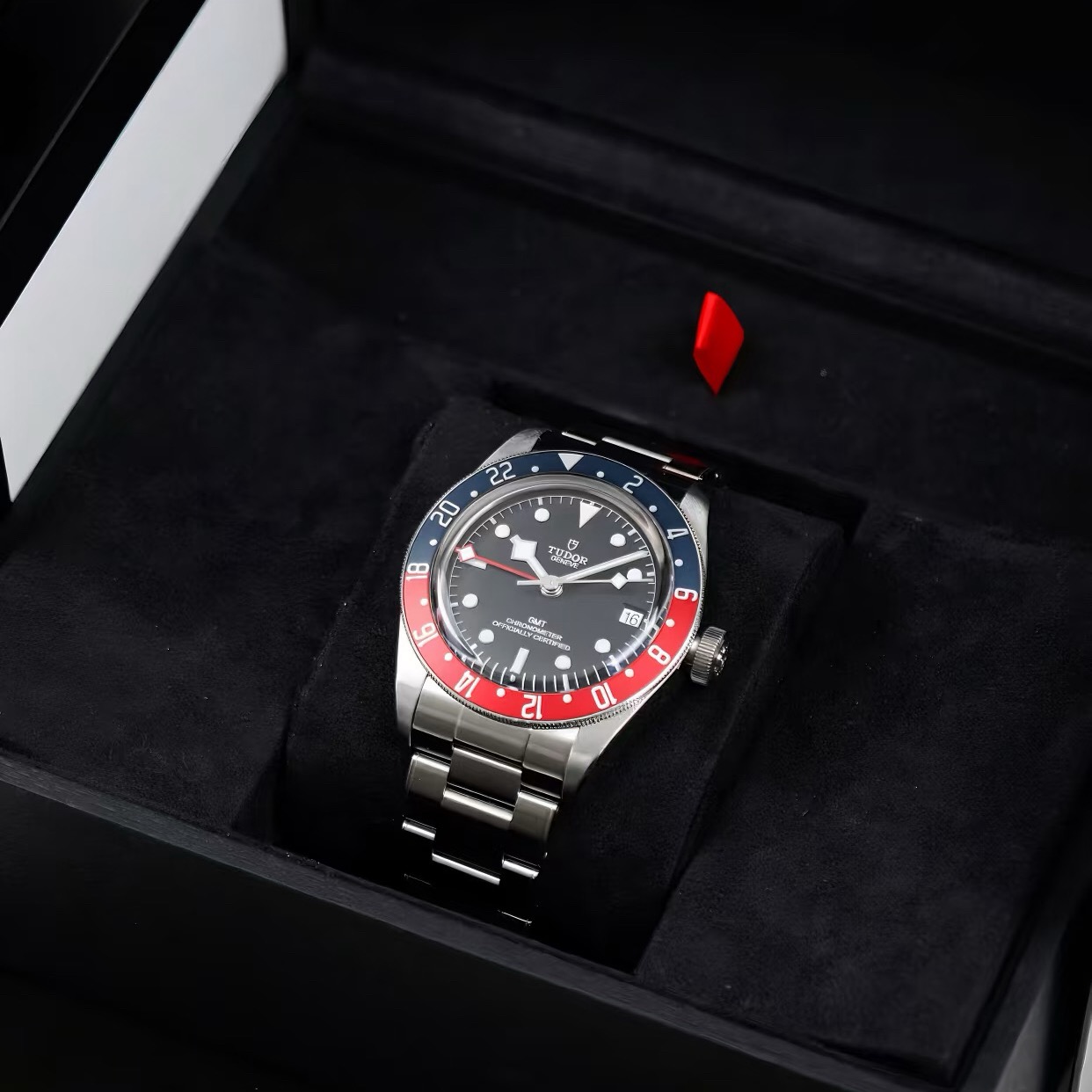 Tudor m79830rb-0001 detail 1