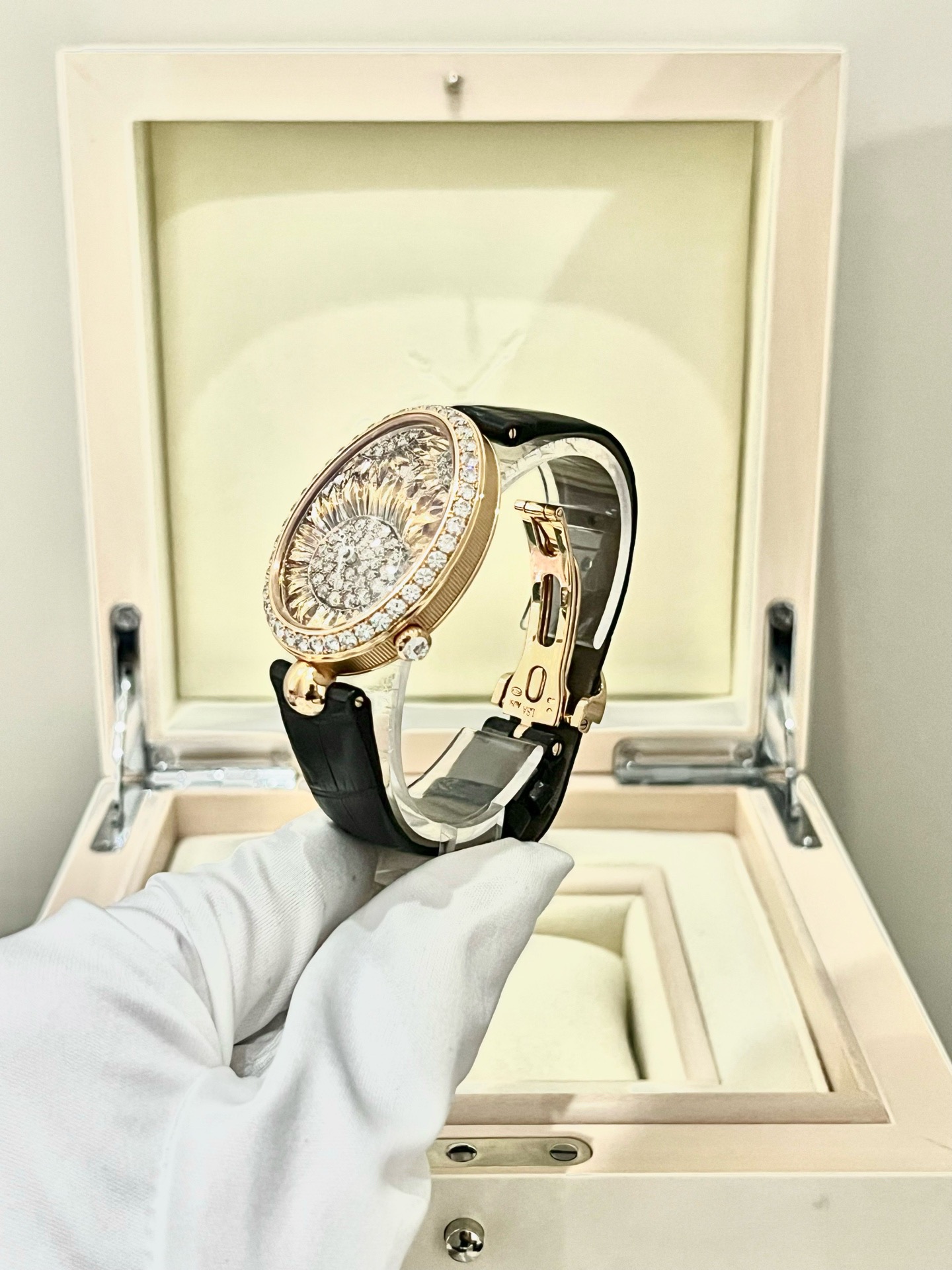 Breguet 8958BR detail 1