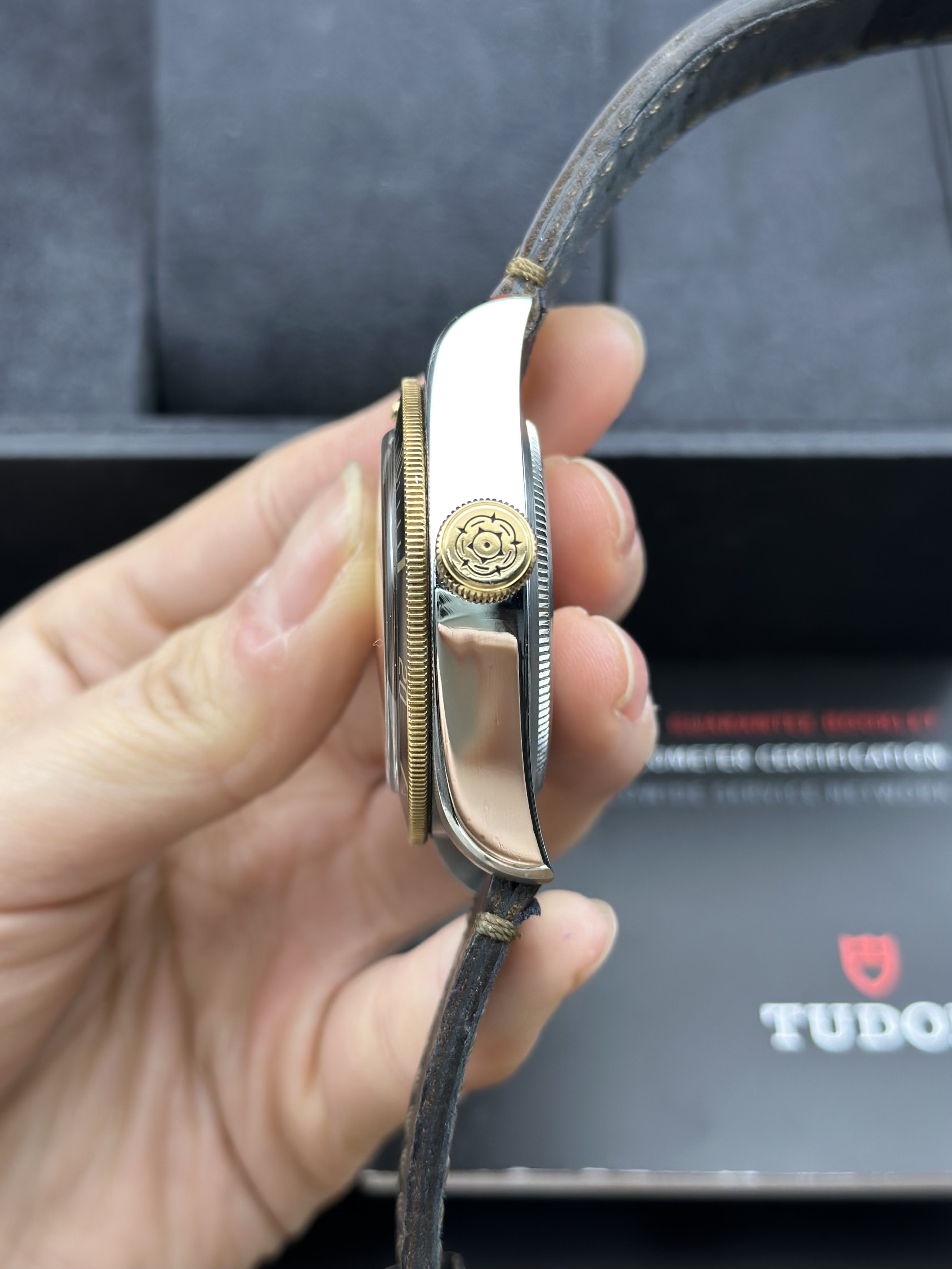Tudor m79733n-0003 detail 3