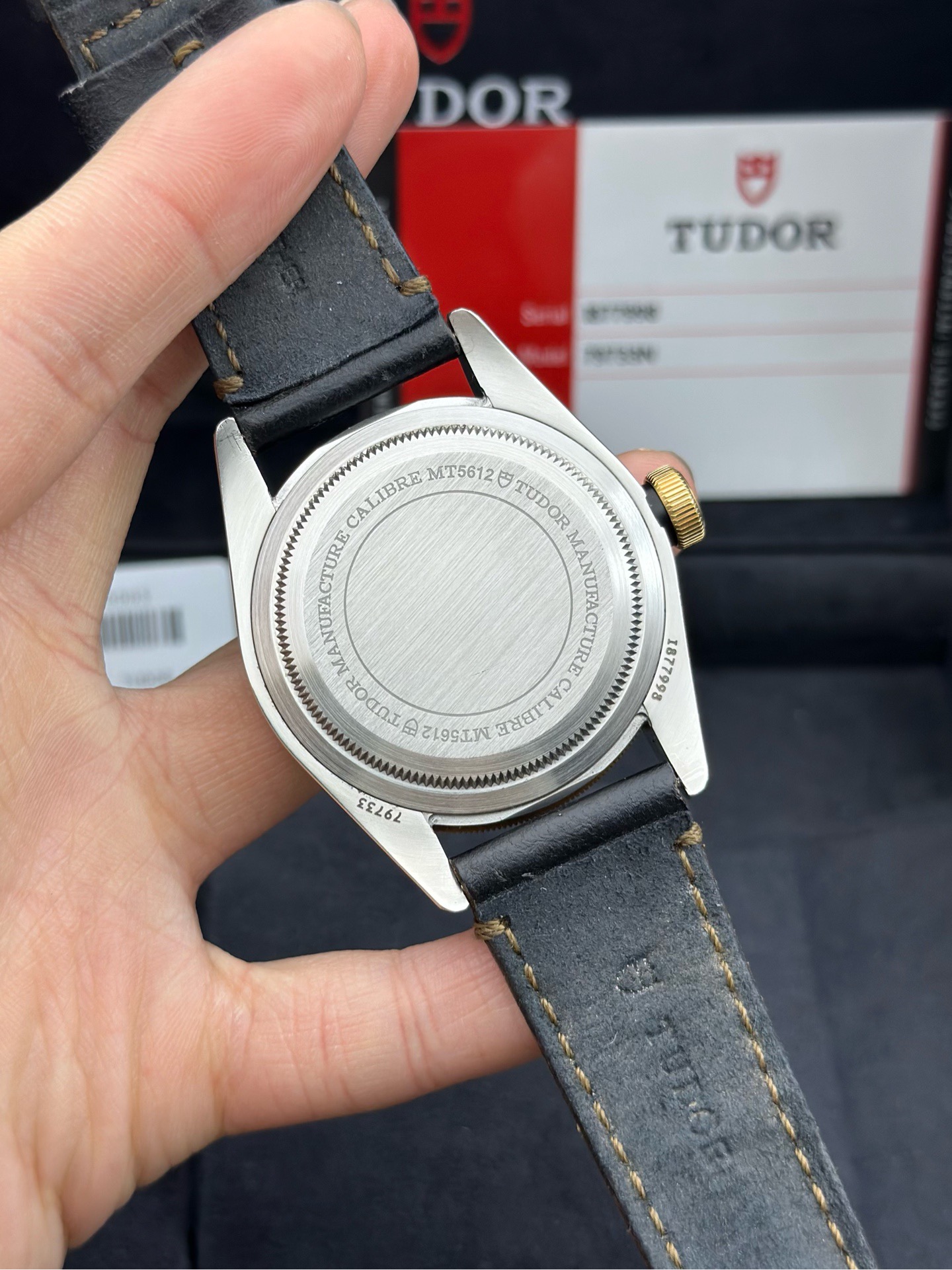 Tudor m79733n-0003 detail 6