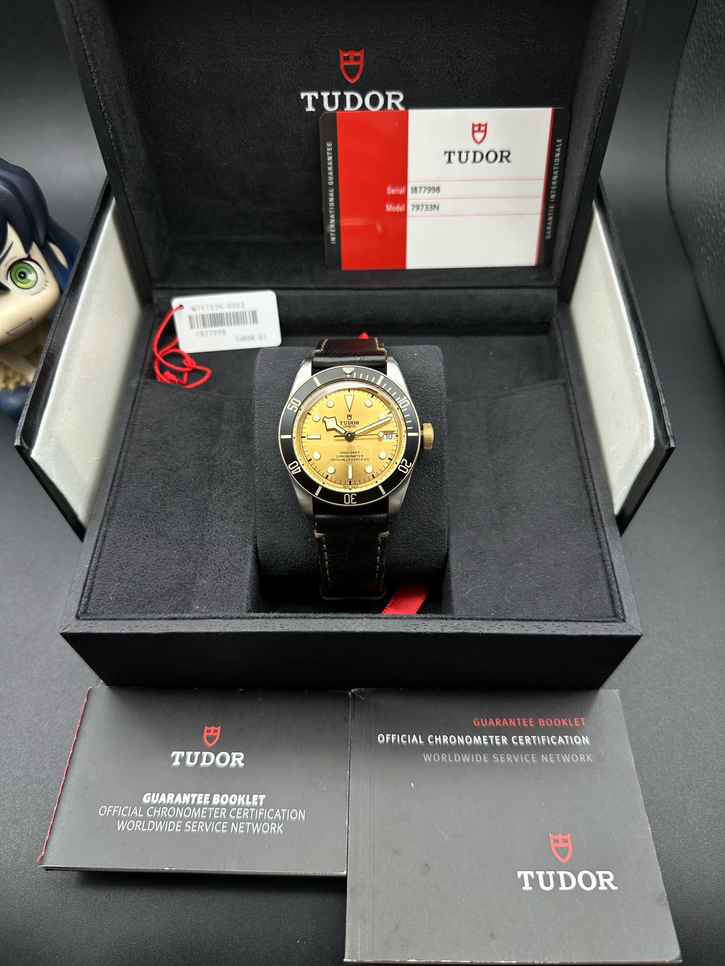 Tudor m79733n-0003 detail 7