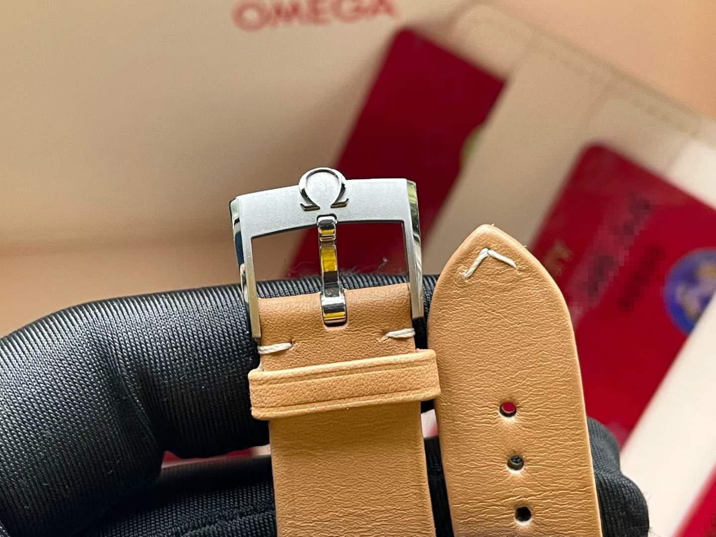 Omega 234.32.41.21.03.001​ detail 3