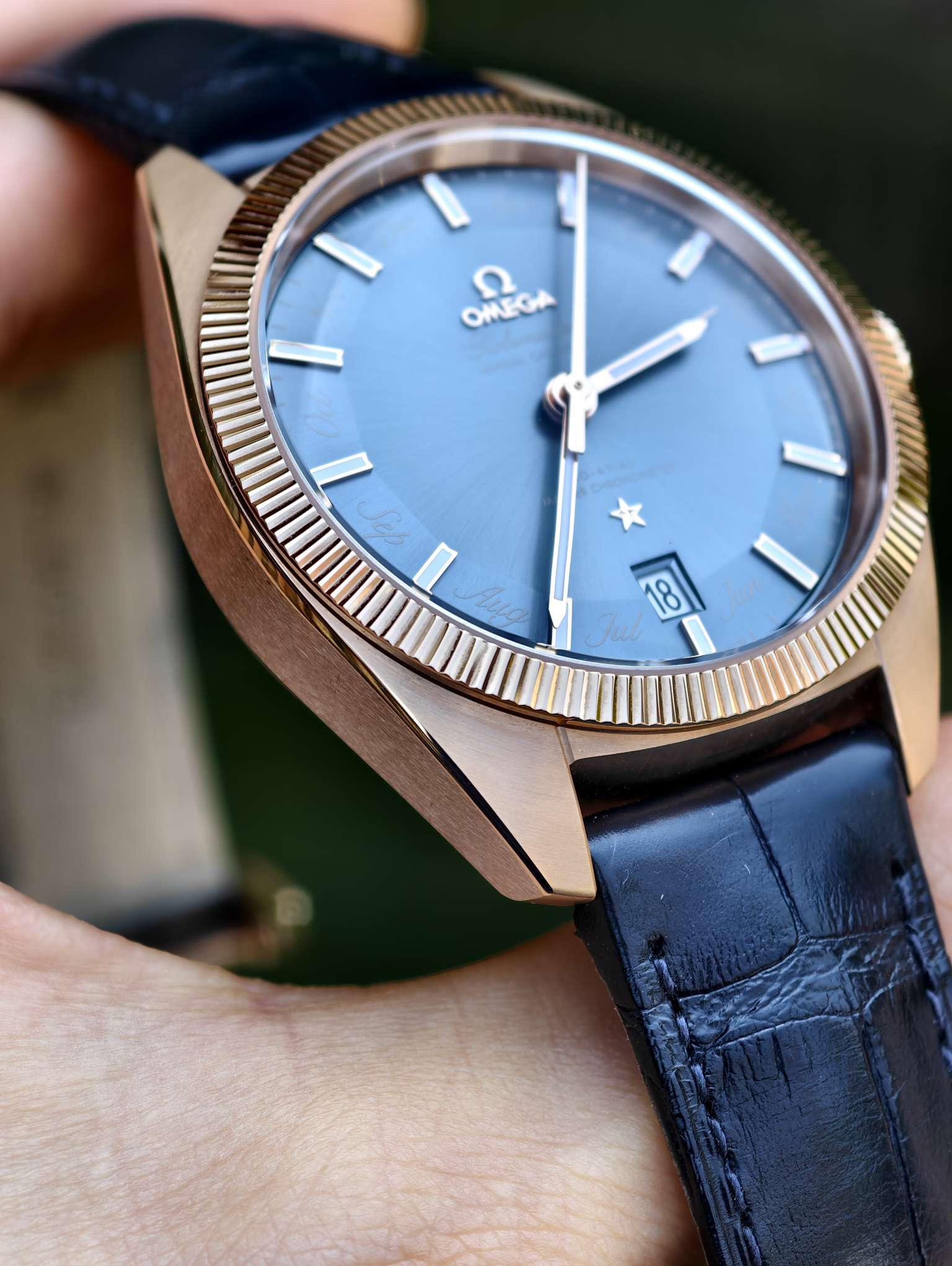 Omega 130.53.41.22.03.001 detail 5