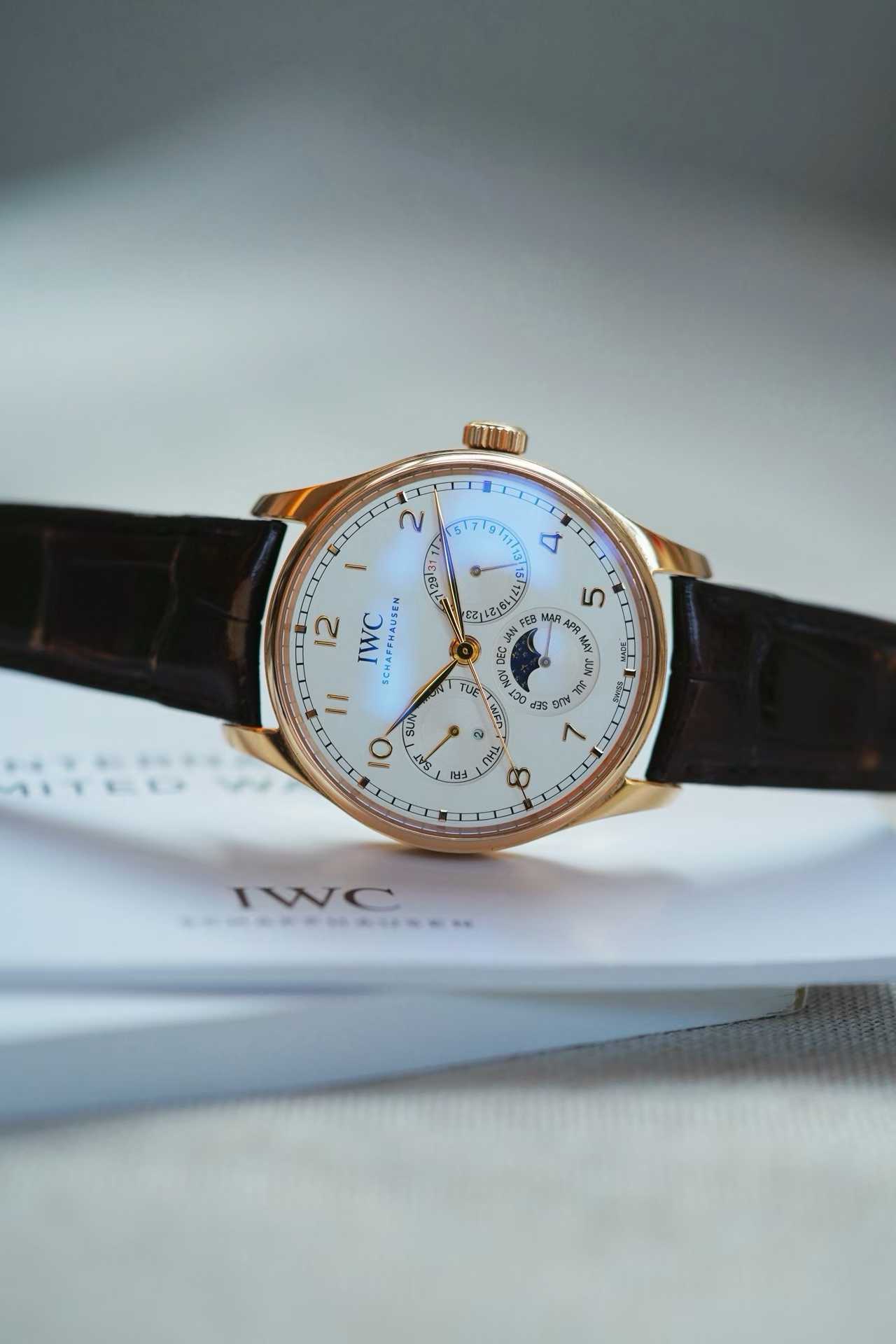 IWC IW344202