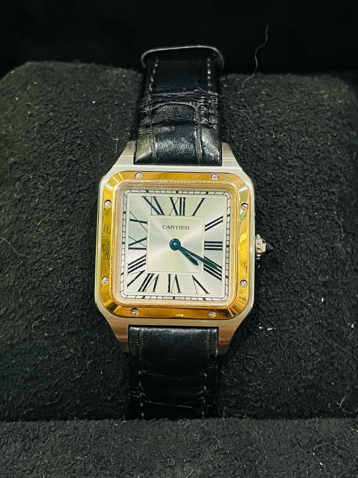 Cartier W2SA0012