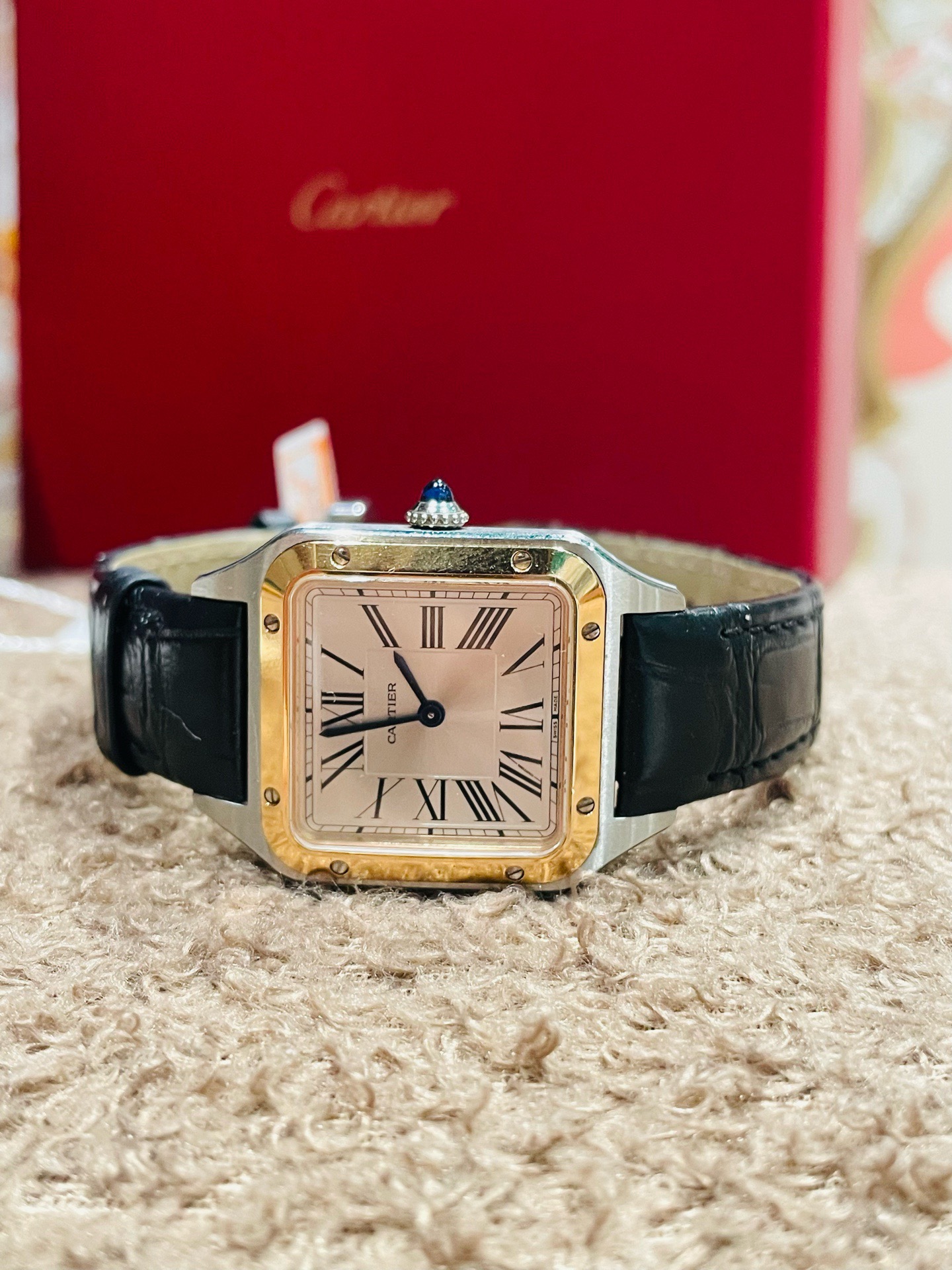 Cartier W2SA0012 detail 5