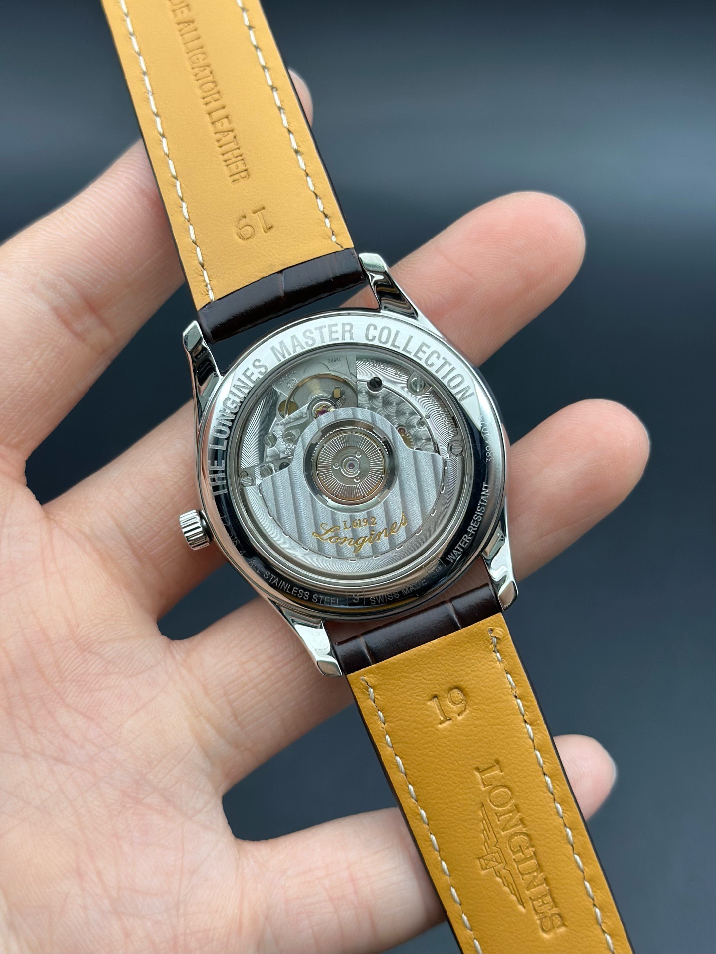 Longines L2.518.4.88.2 detail 6