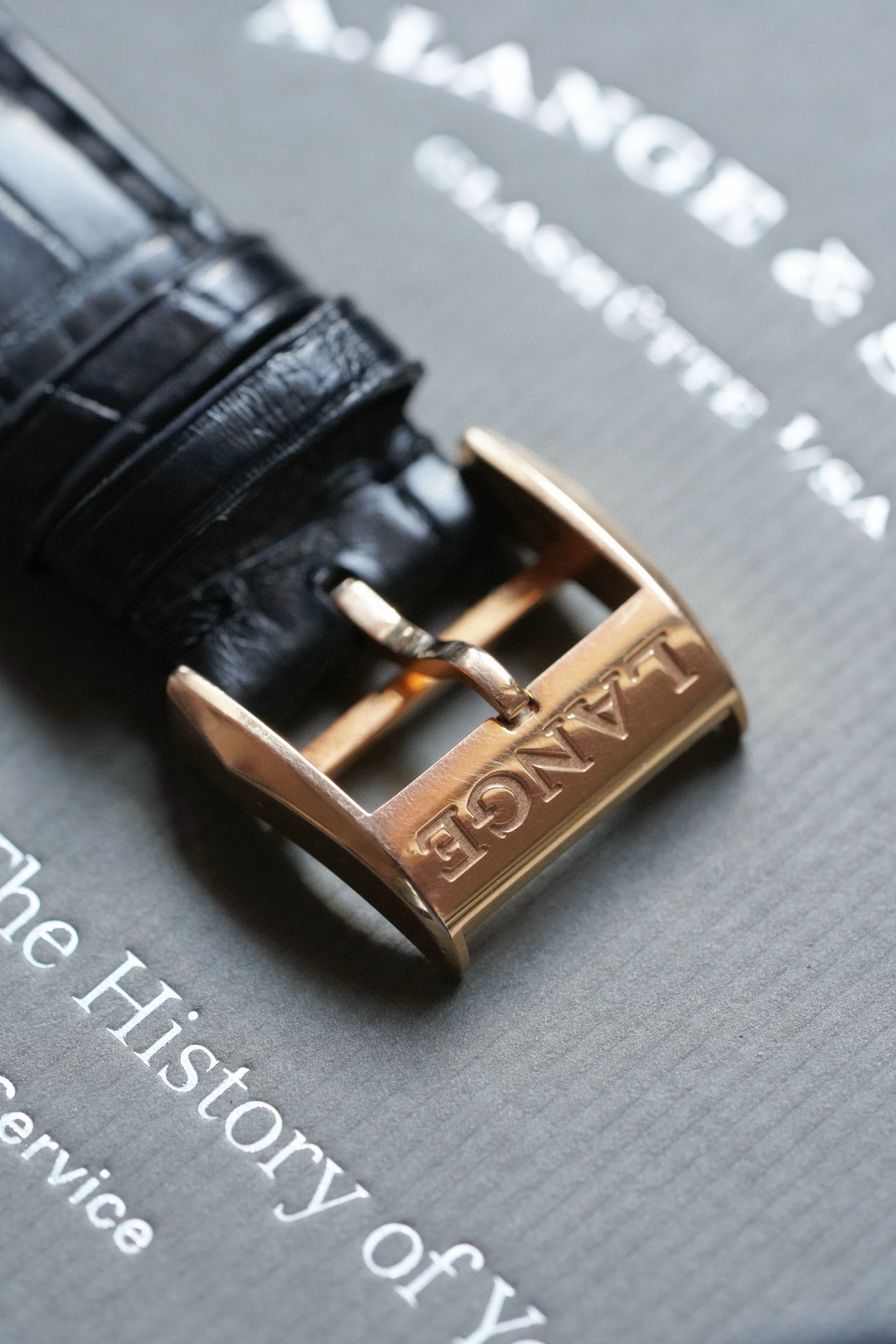 A. Lange & S&ouml;hne 384.032 detail 3
