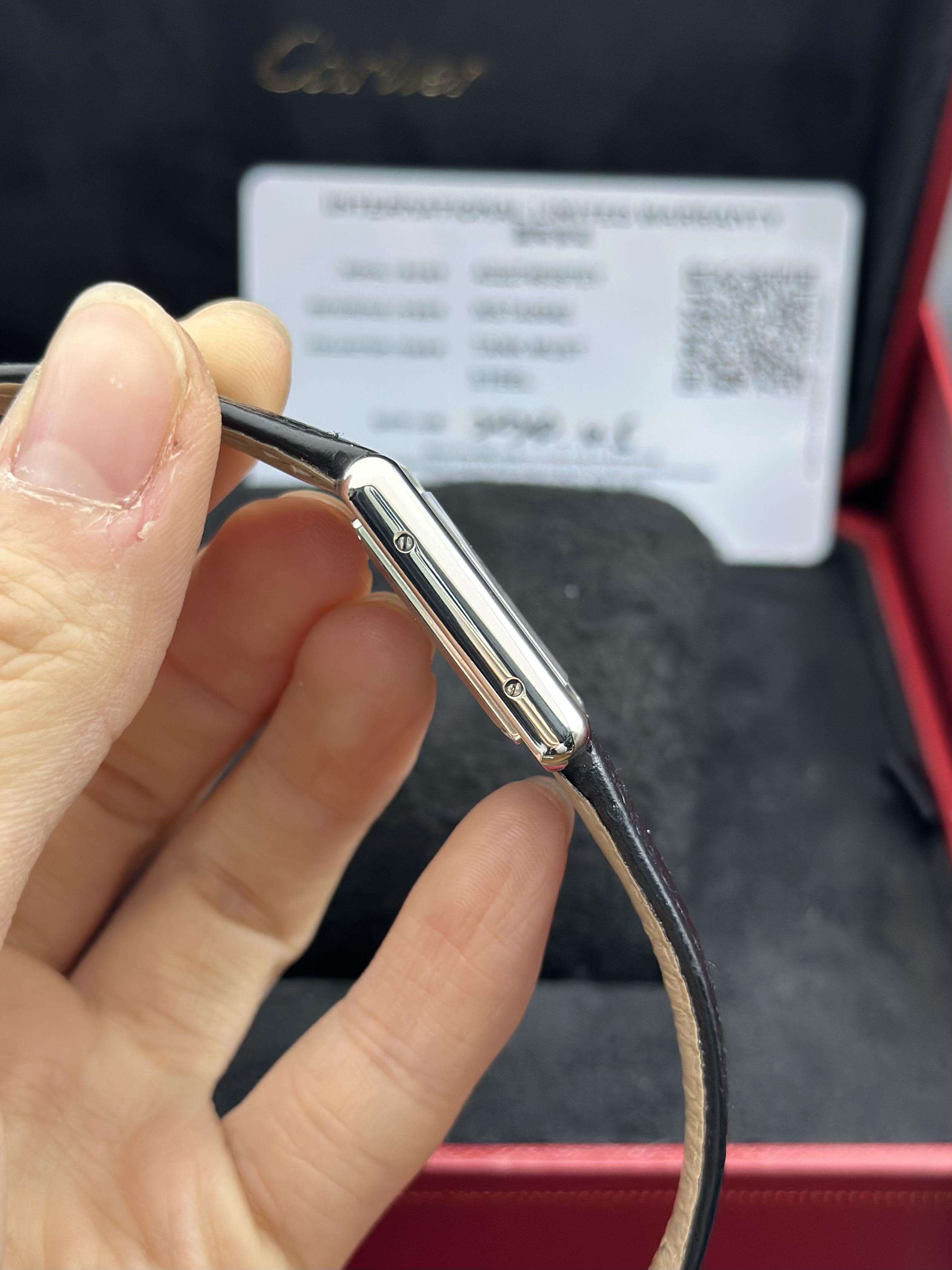 Cartier WSTA0042 detail 2