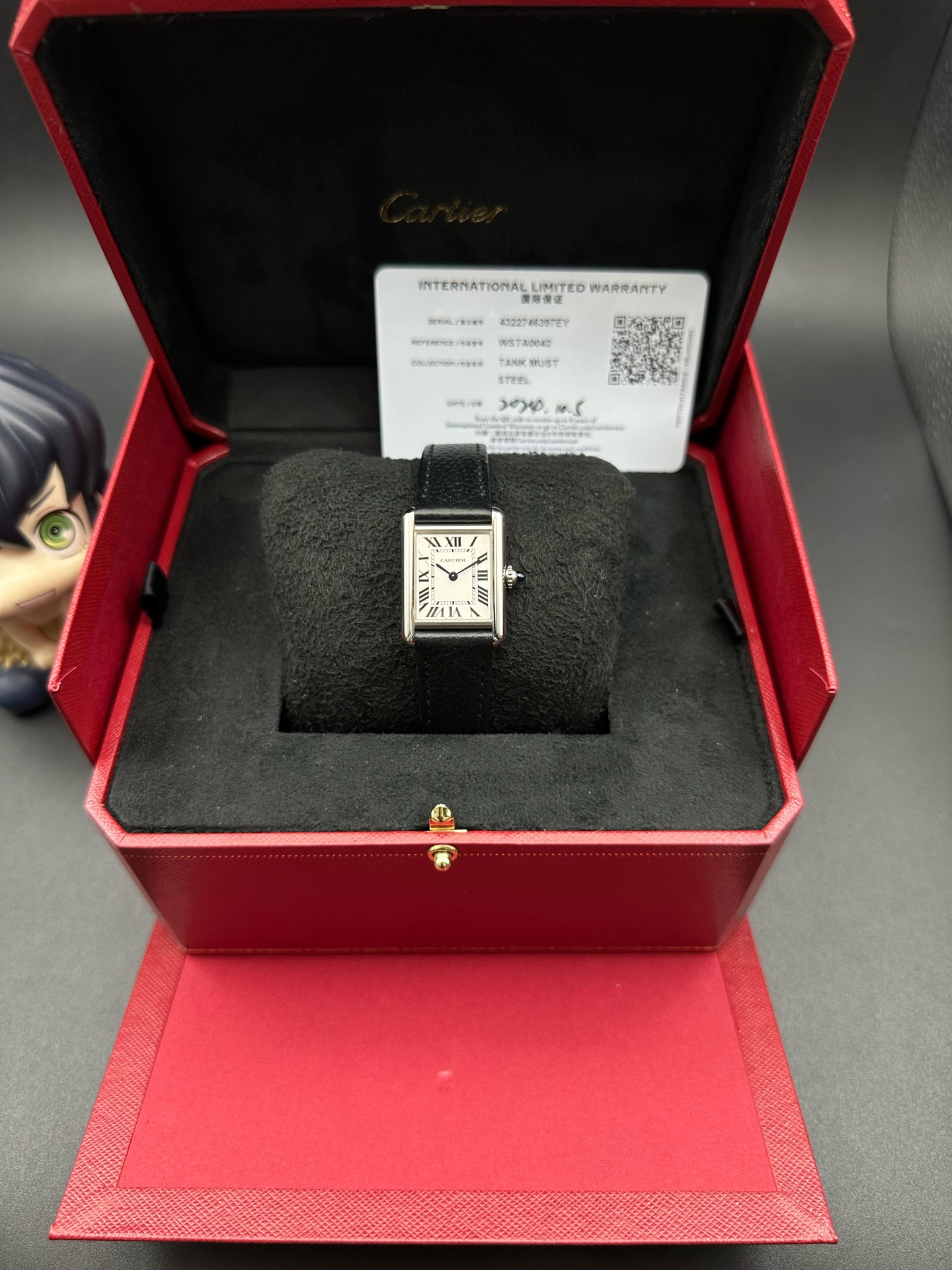 Cartier WSTA0042