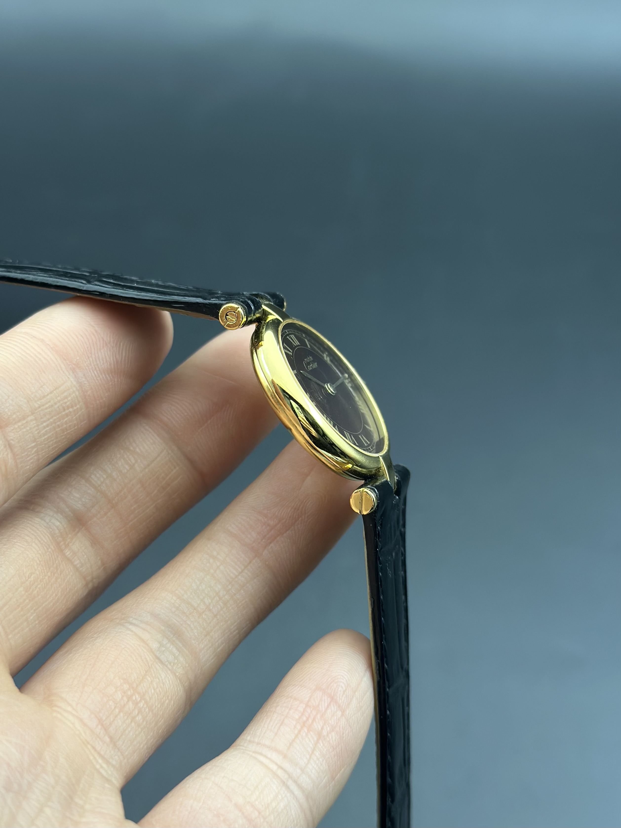 Cartier Vintage detail 2